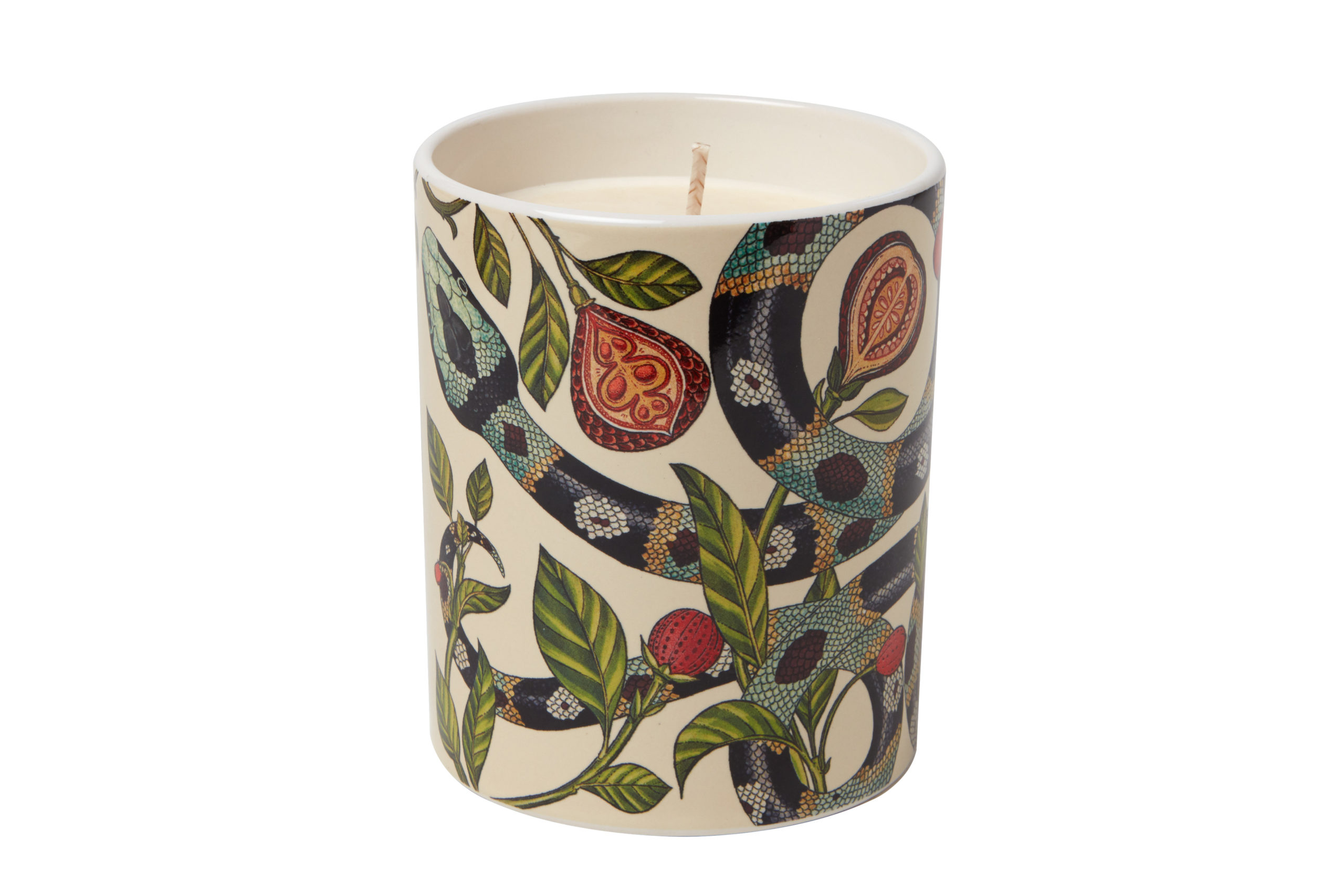 Polkra Atlas candle with snake design