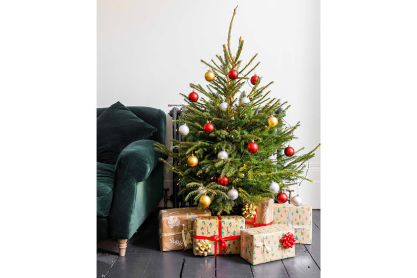 Where To Buy Christmas Trees In London 2023