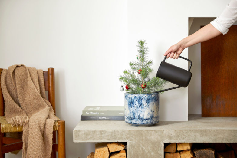 Where To Buy Christmas Trees In London 2023