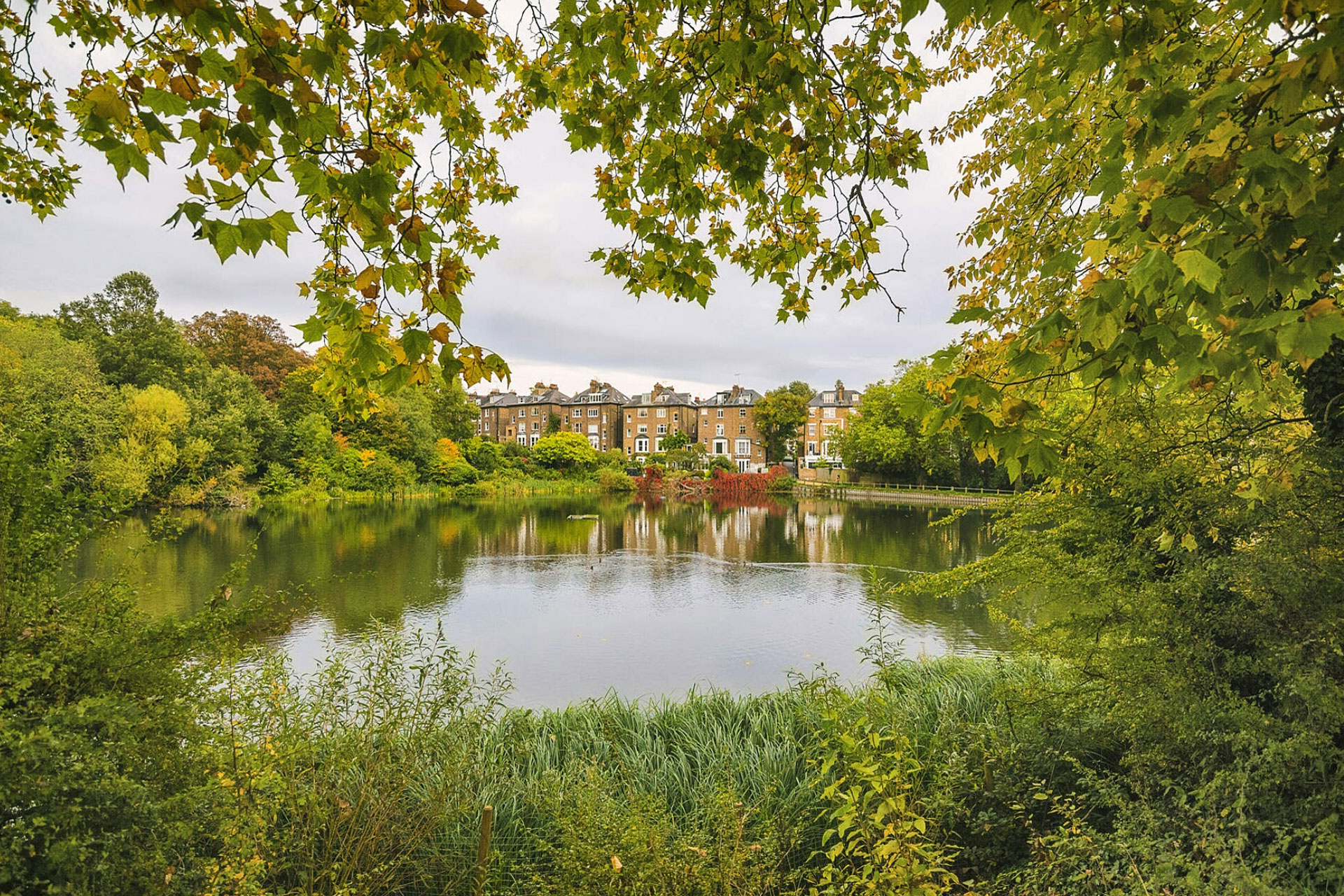Hampstead Heath Swimming Ponds