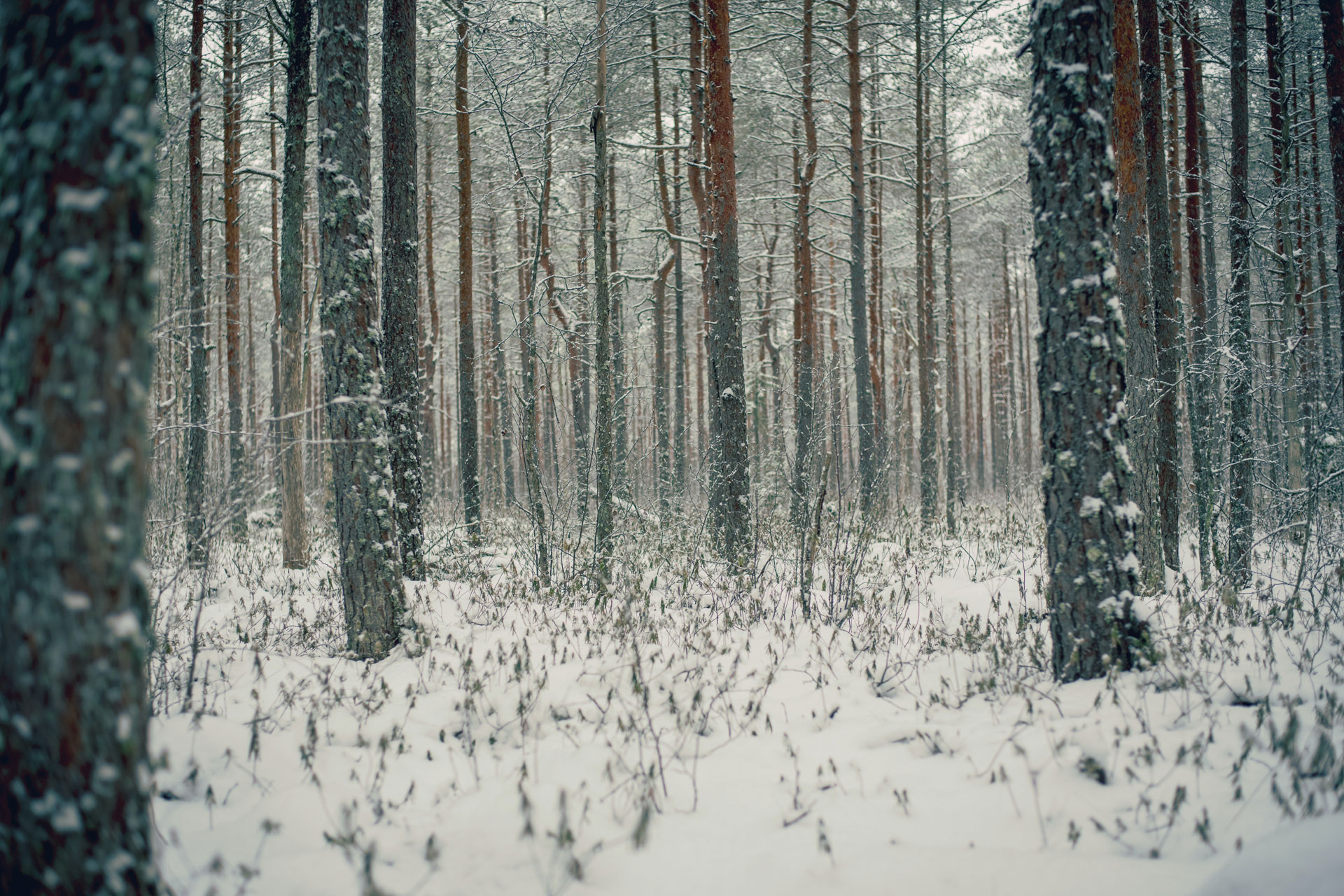 All About Friluftsliv: Get Outside With This Nordic Lifestyle Concept