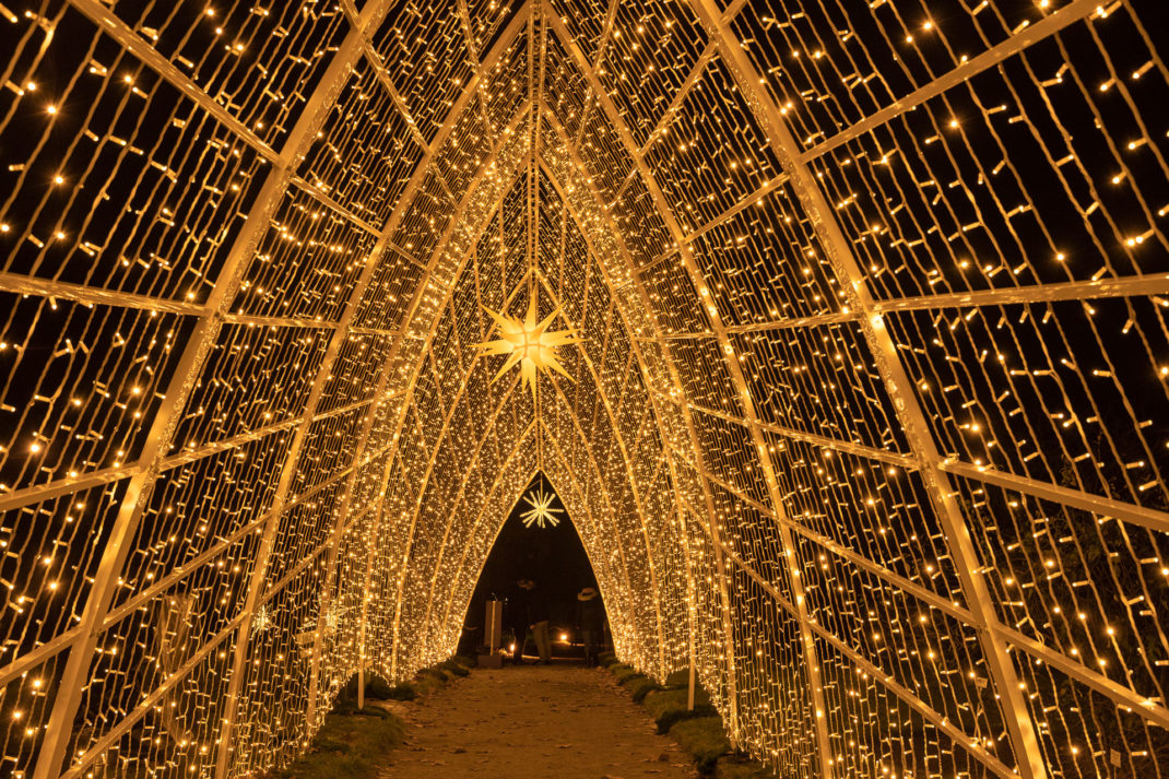 Windsor Great Park Illuminated