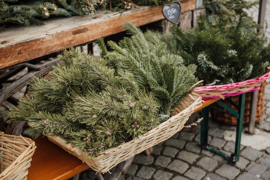 Christmas greenery in baskets