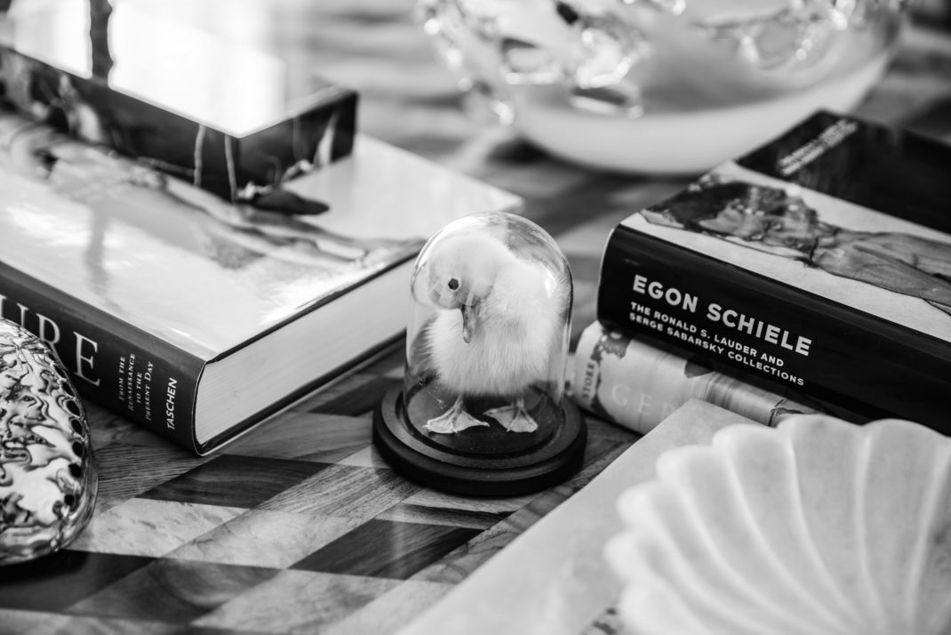 Coffee table books and art paraphernalia, including taxidermy duckling