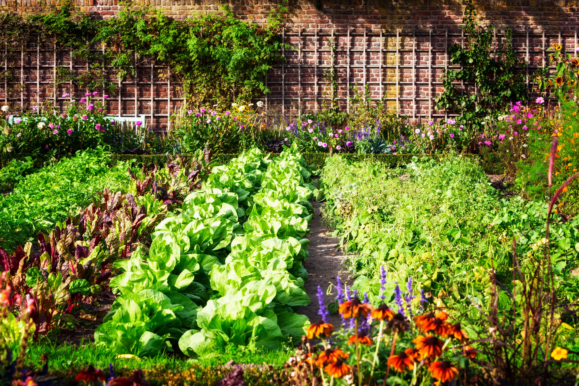 Kitchen Garden