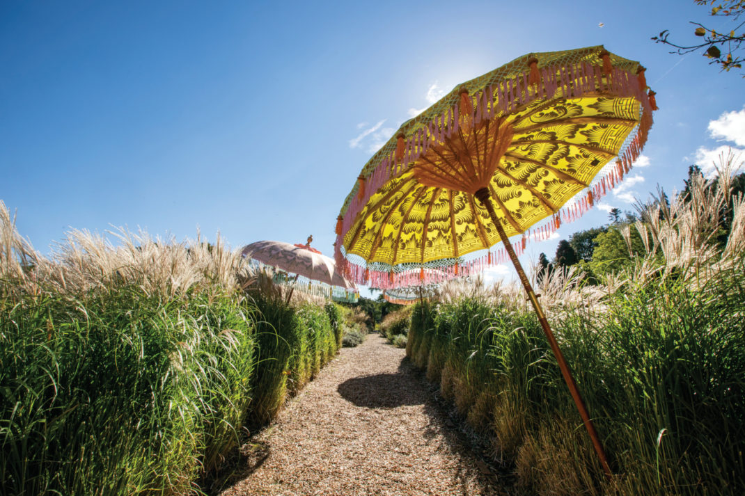 Parasols lining a path