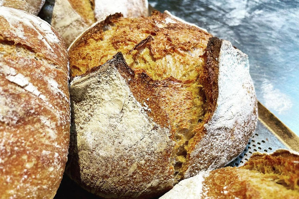 Little Sourdough Kitchen