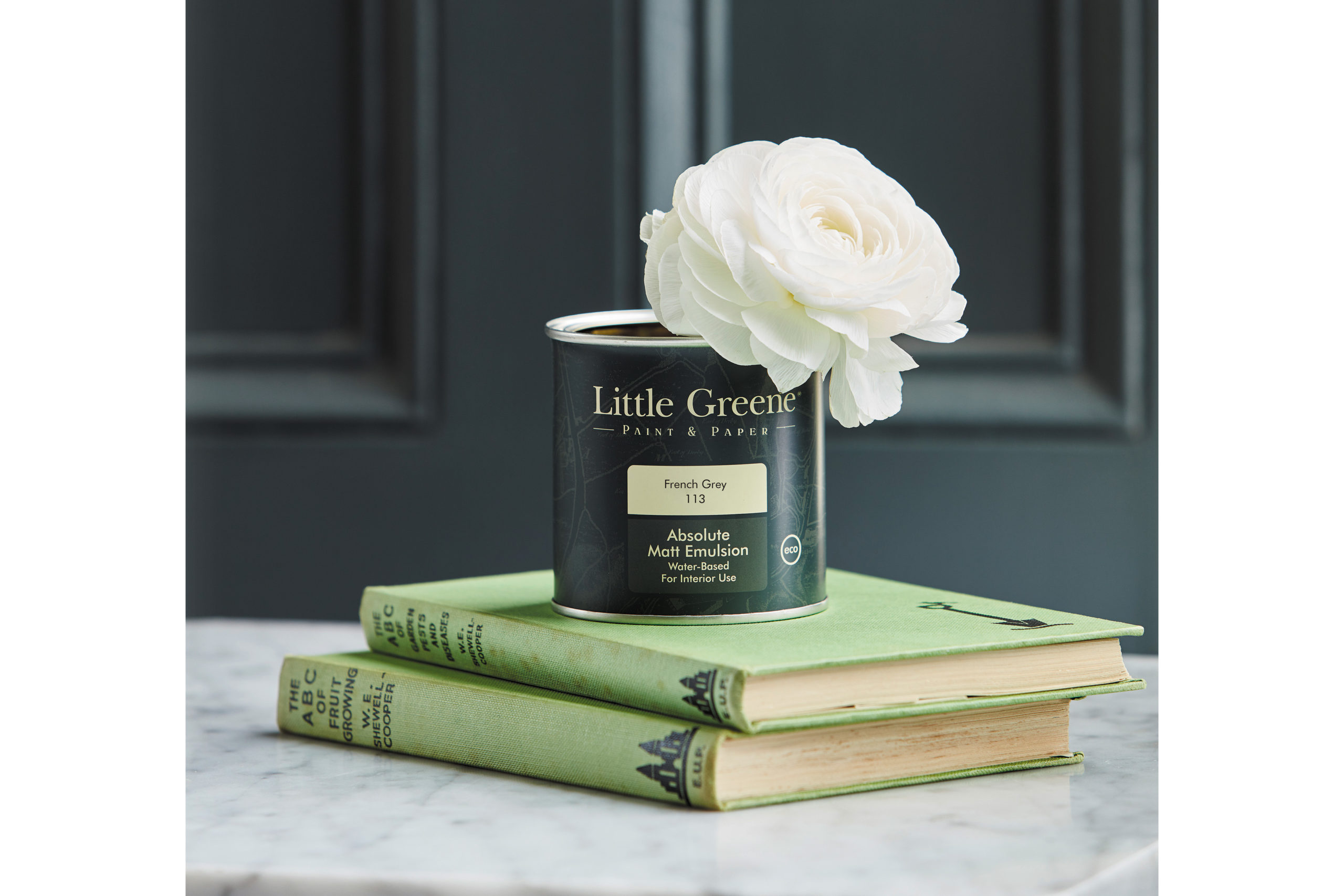 Little Greene paint tin, white peony, green books