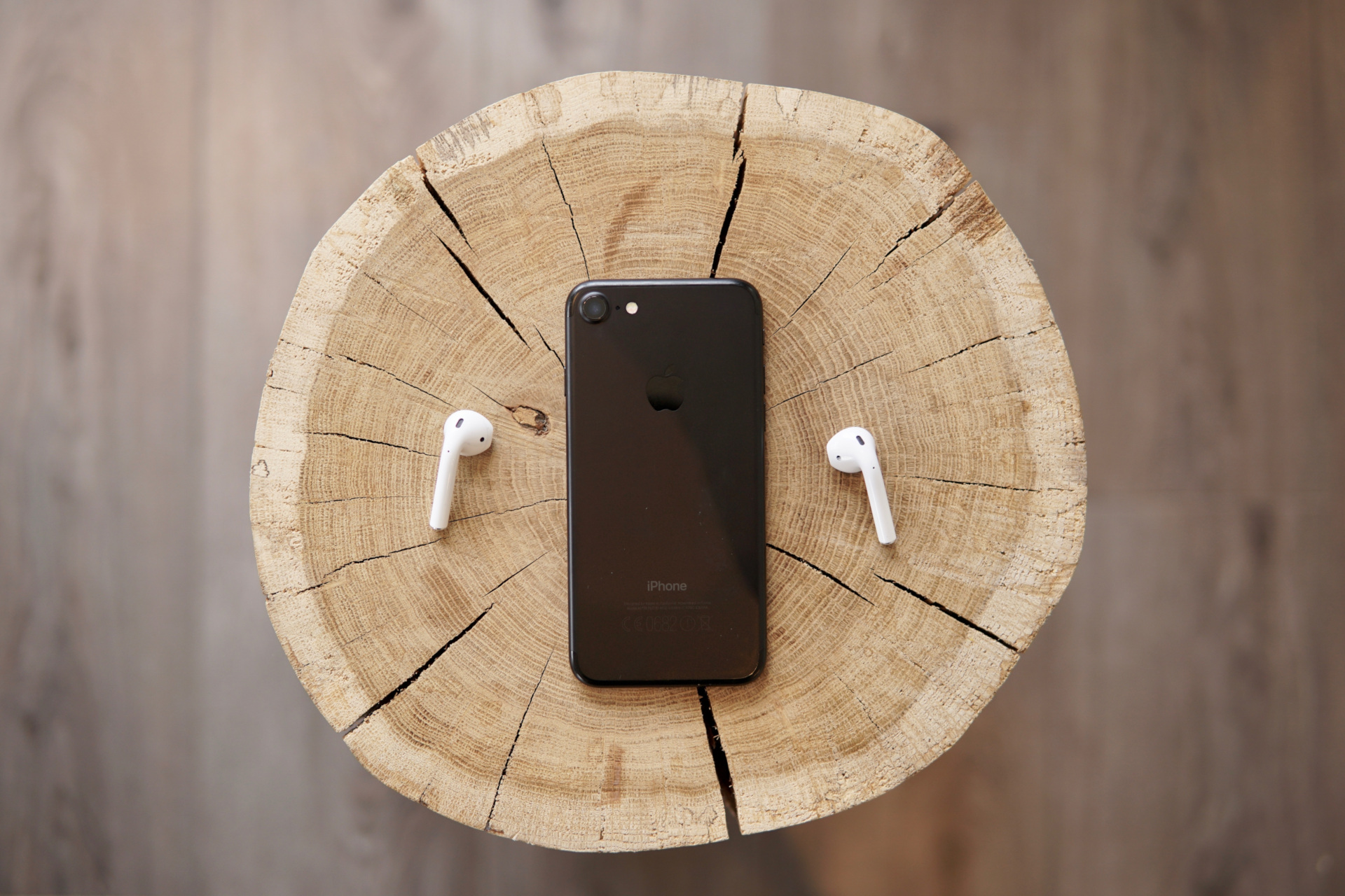 Phone and earbuds on a tree stump