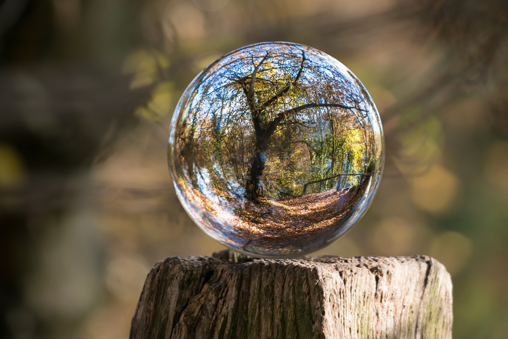 What Is Greenwashing and How Can I Avoid It?