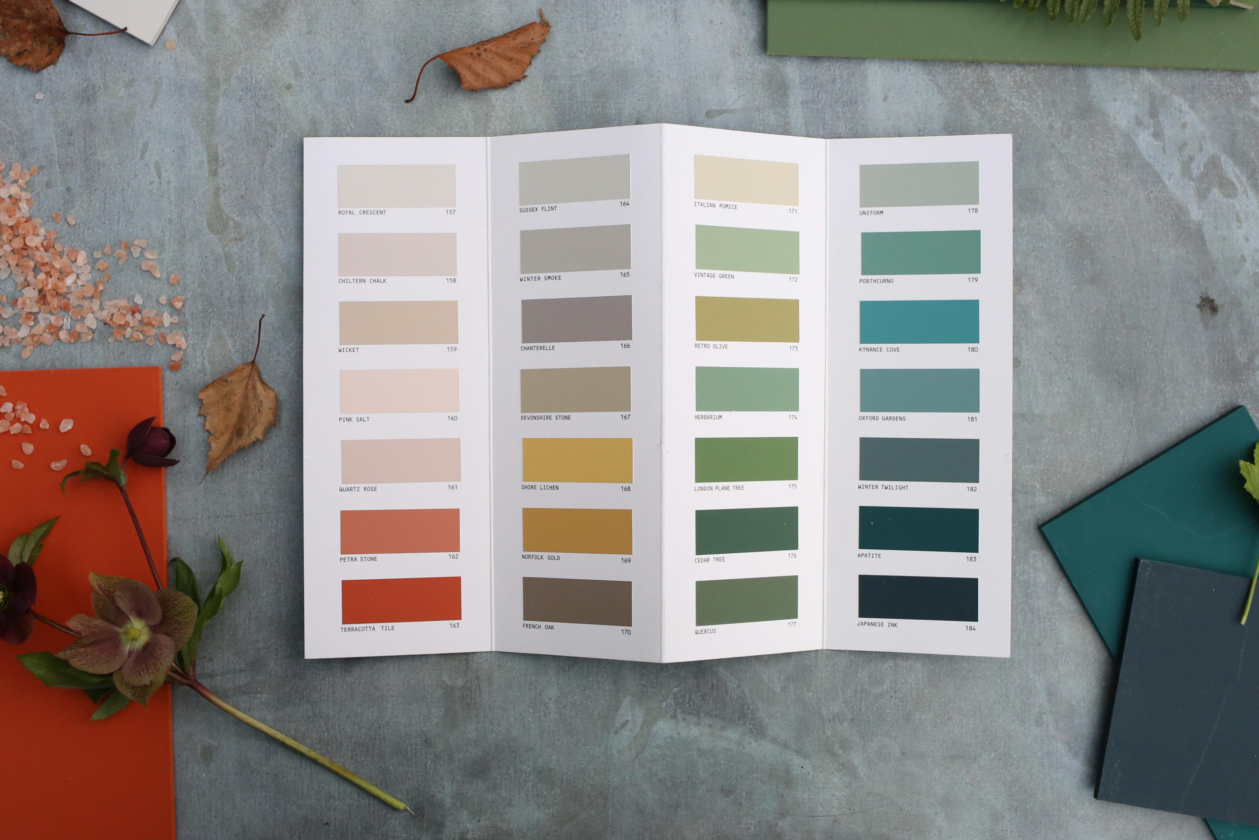Designers Guild paint chart