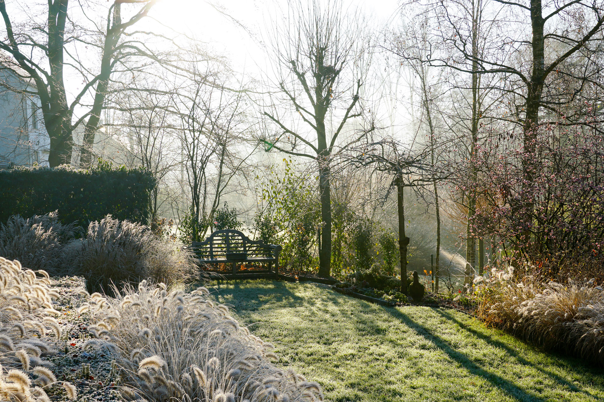 How To Make The Most of Your Garden in Winter