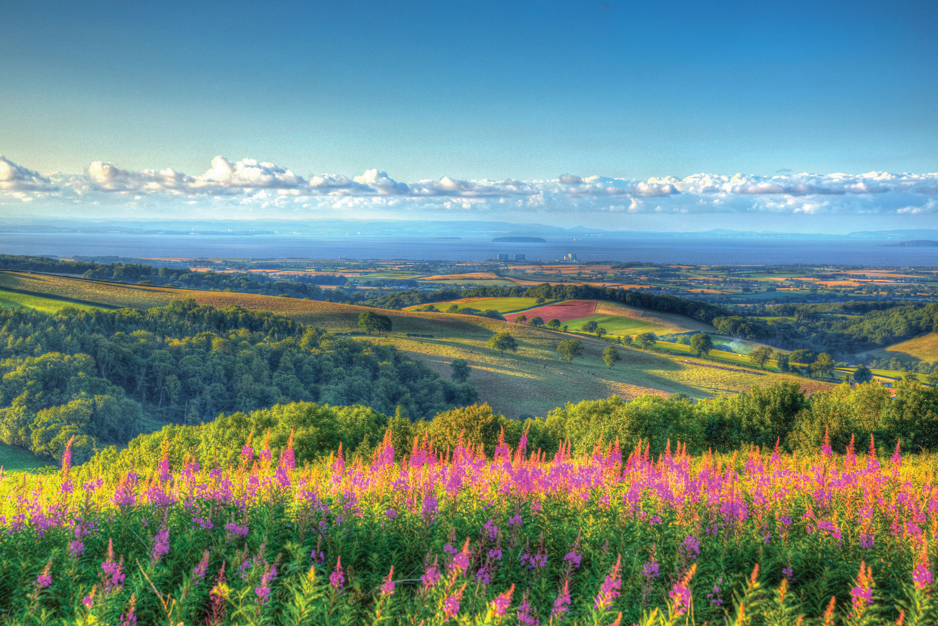 Let’s Move To Taunton Vale