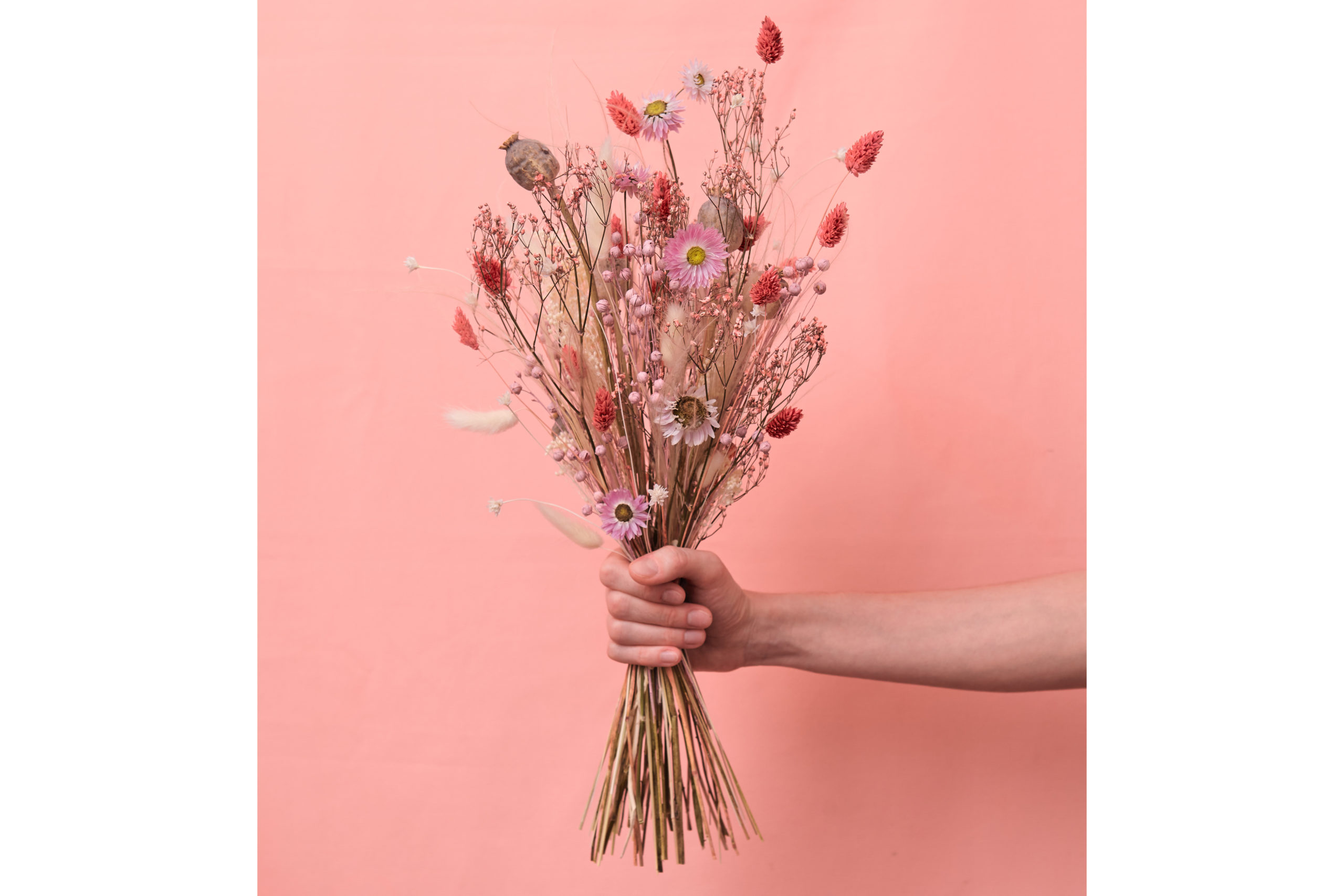 Stems Wilder pink dried flowers