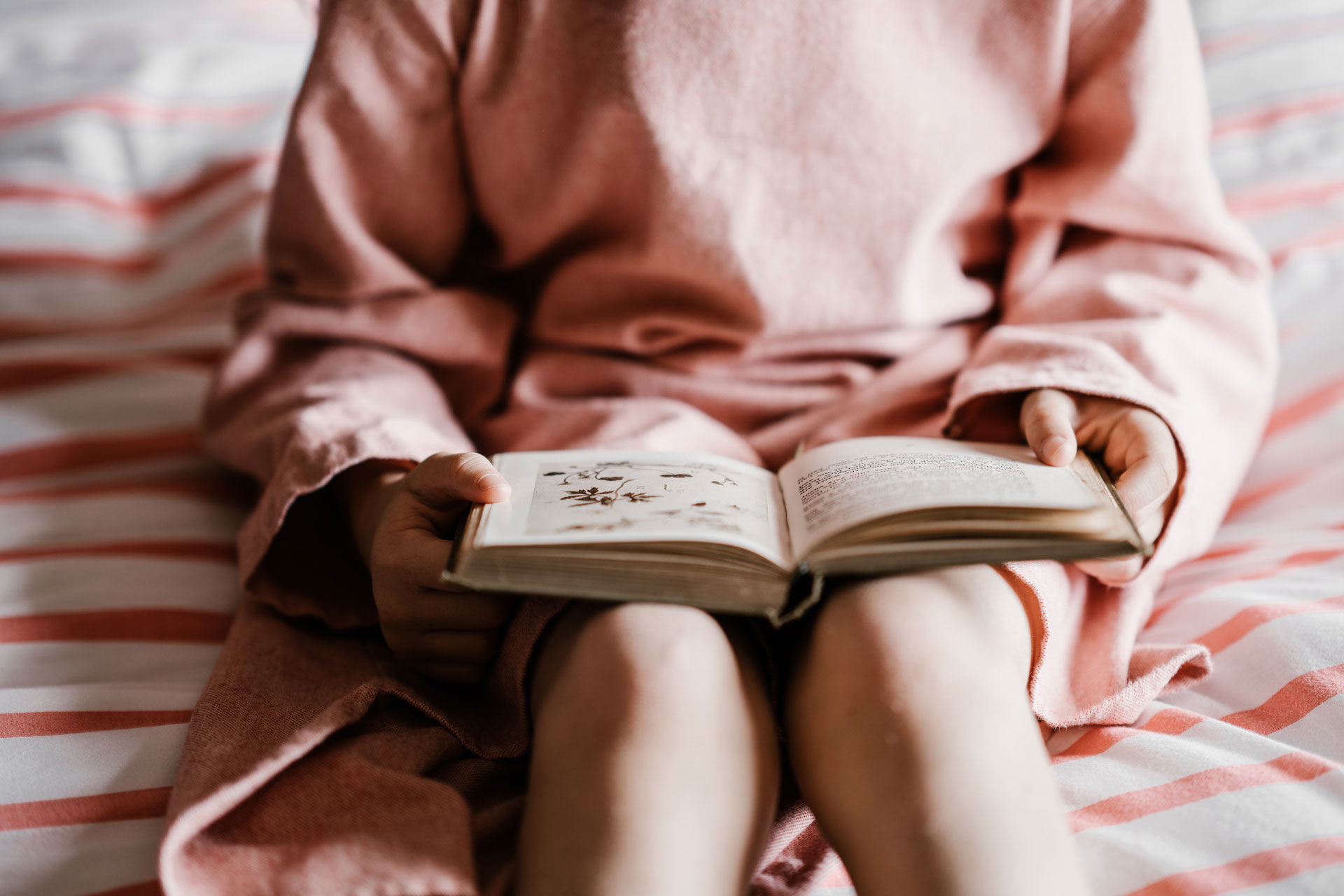 The Ultimate Guide To World Book Day 2024