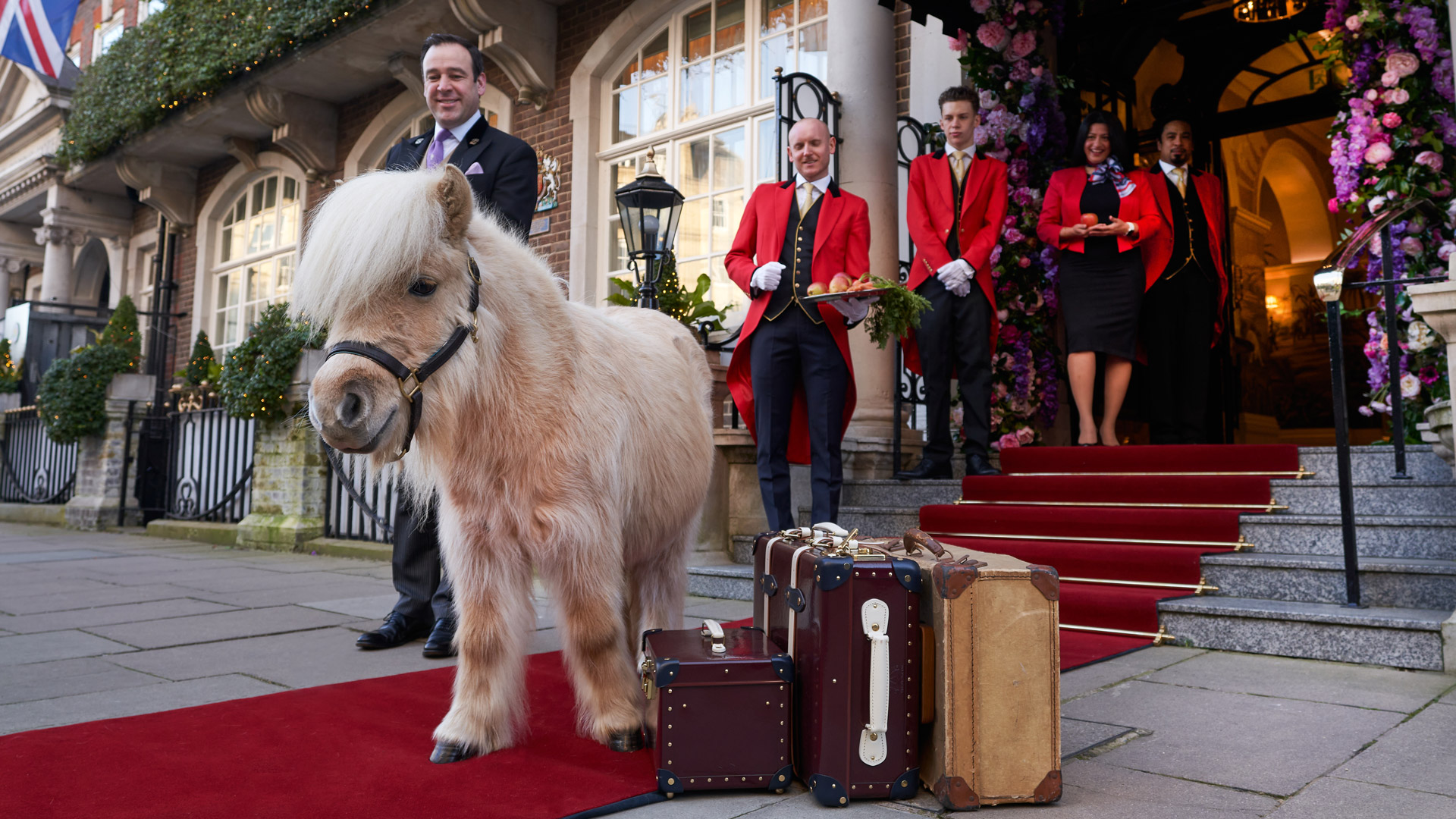 London's The Goring Hotel Welcomes an Unlikely Guest