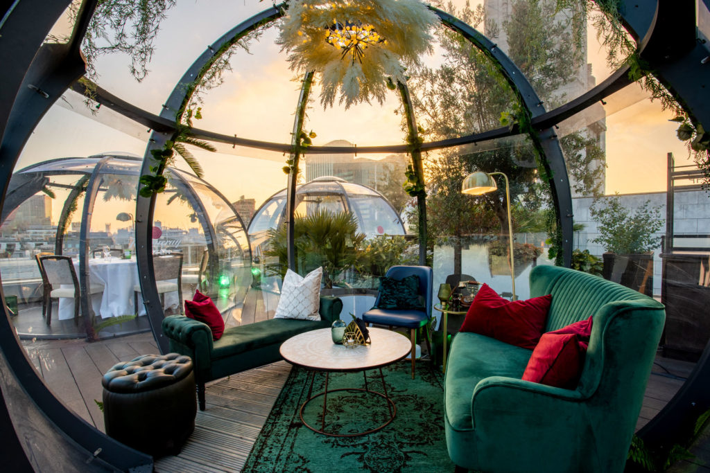 Aviary Igloos