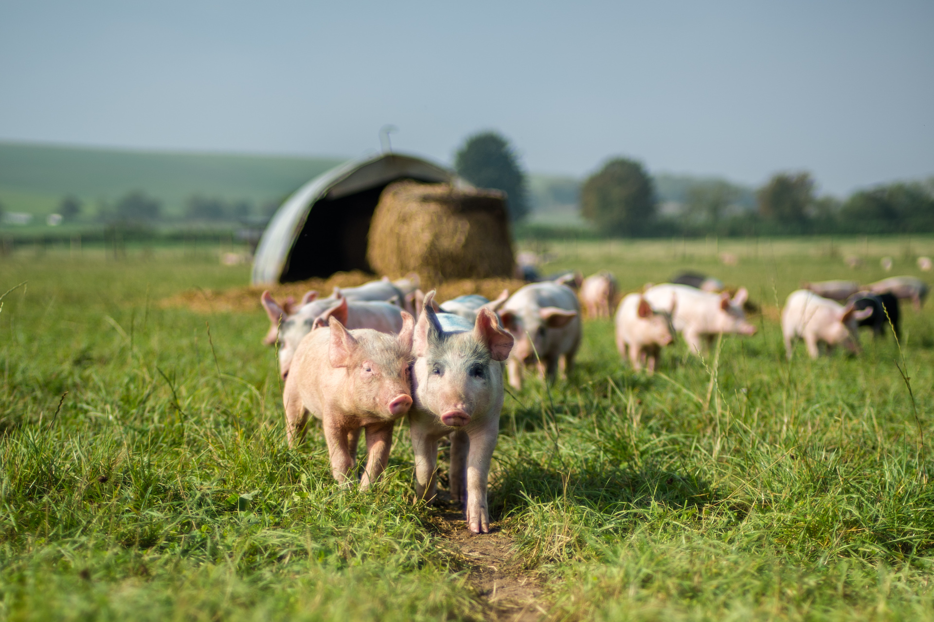 What Is Agrotourism? How To Escape To The British Countryside In Style