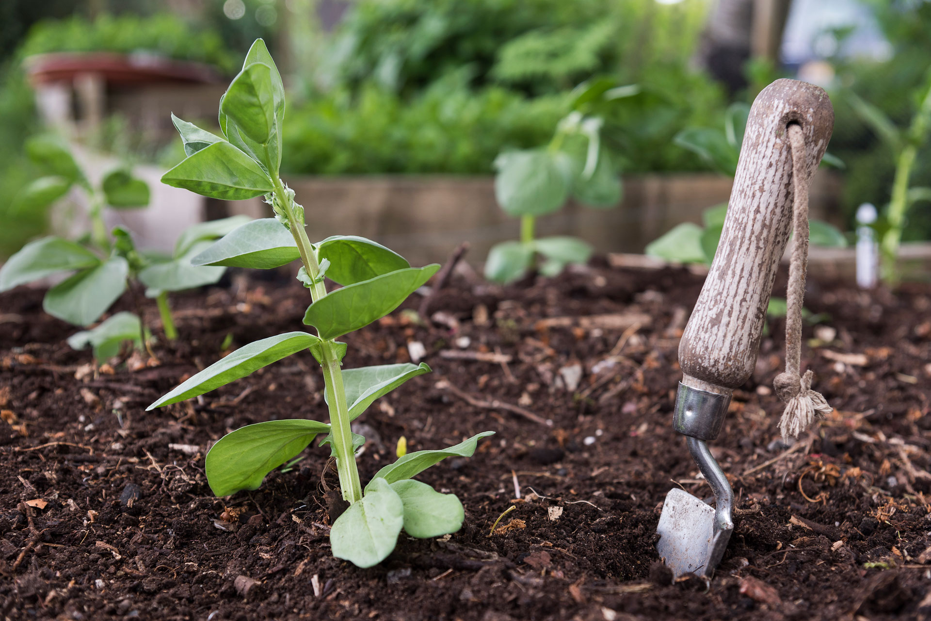 Composting