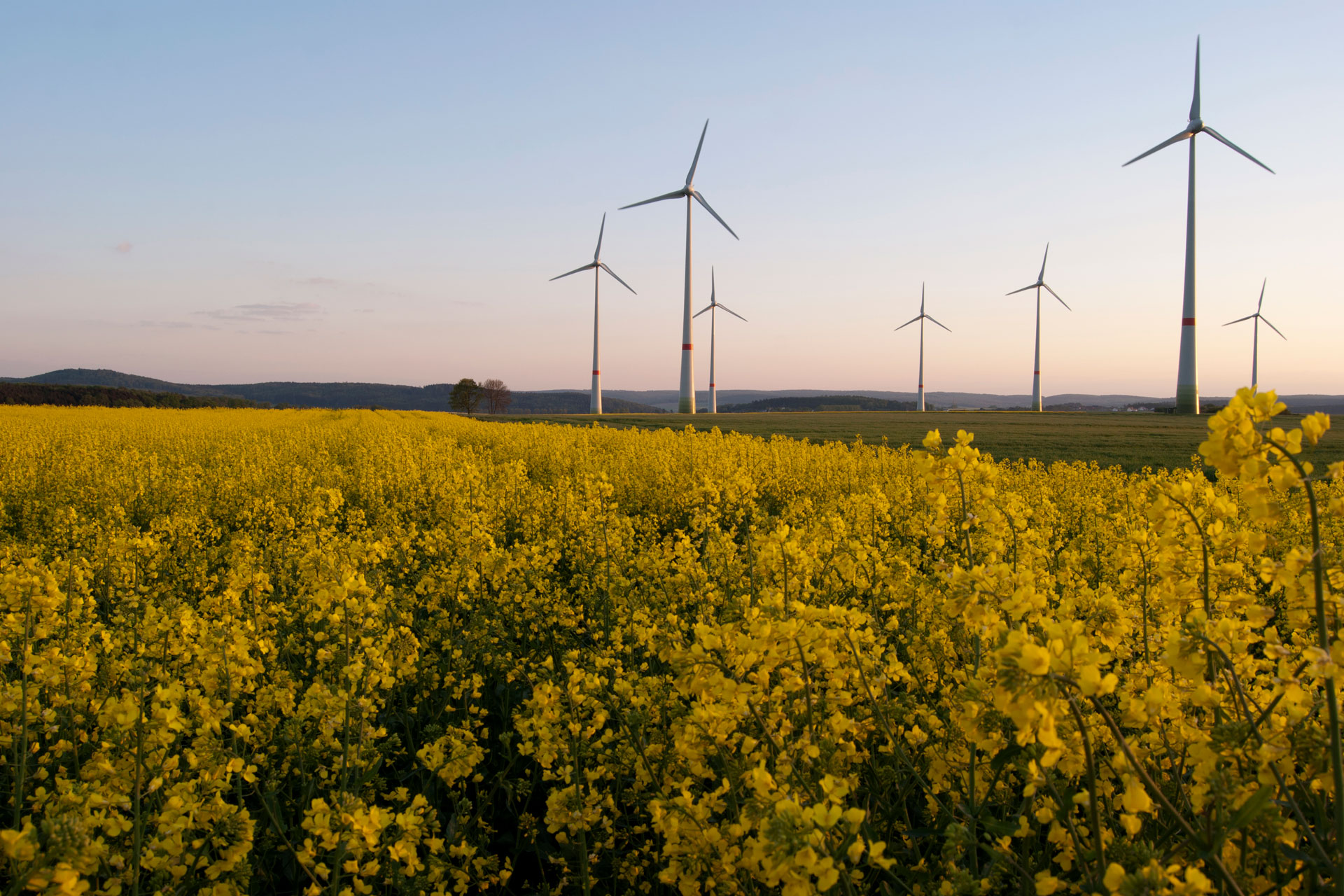 Carbon neutral - windmills