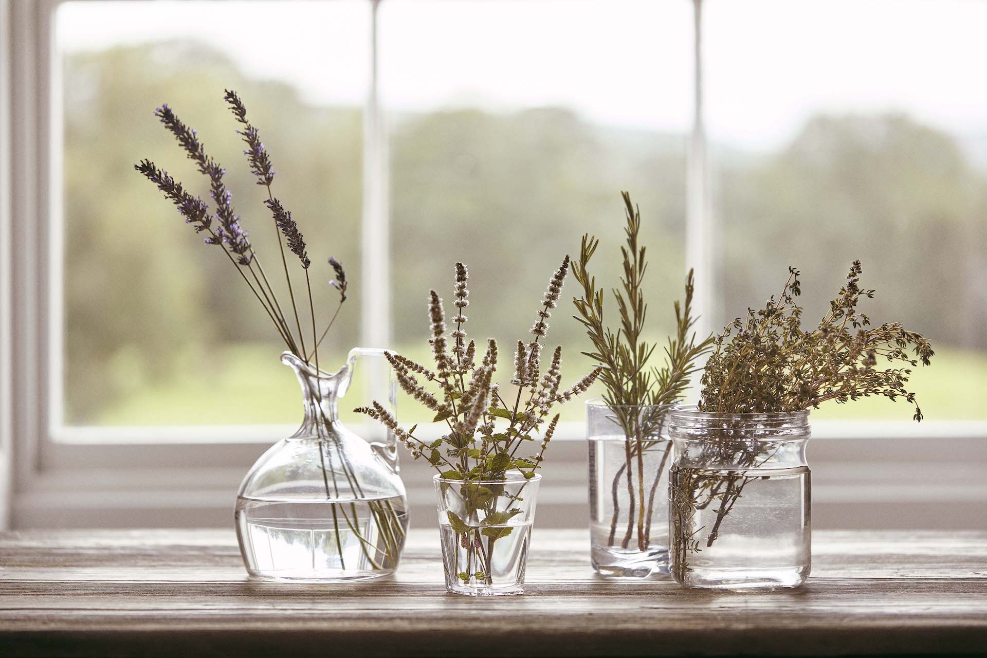 Glass jars with flowers lined up on windowsill