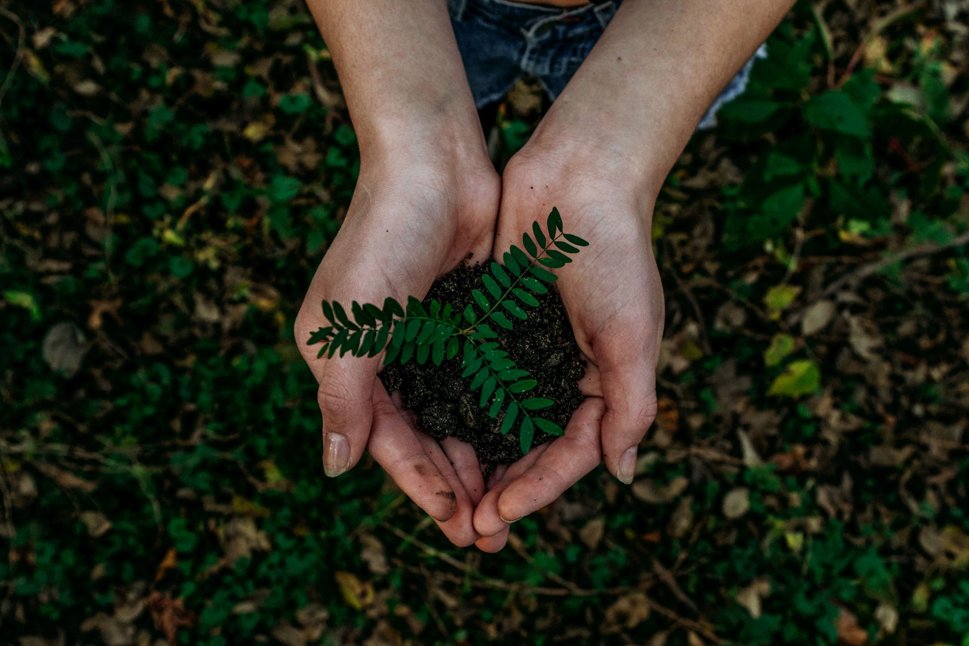 5 Sustainable Actions To Take This Week
