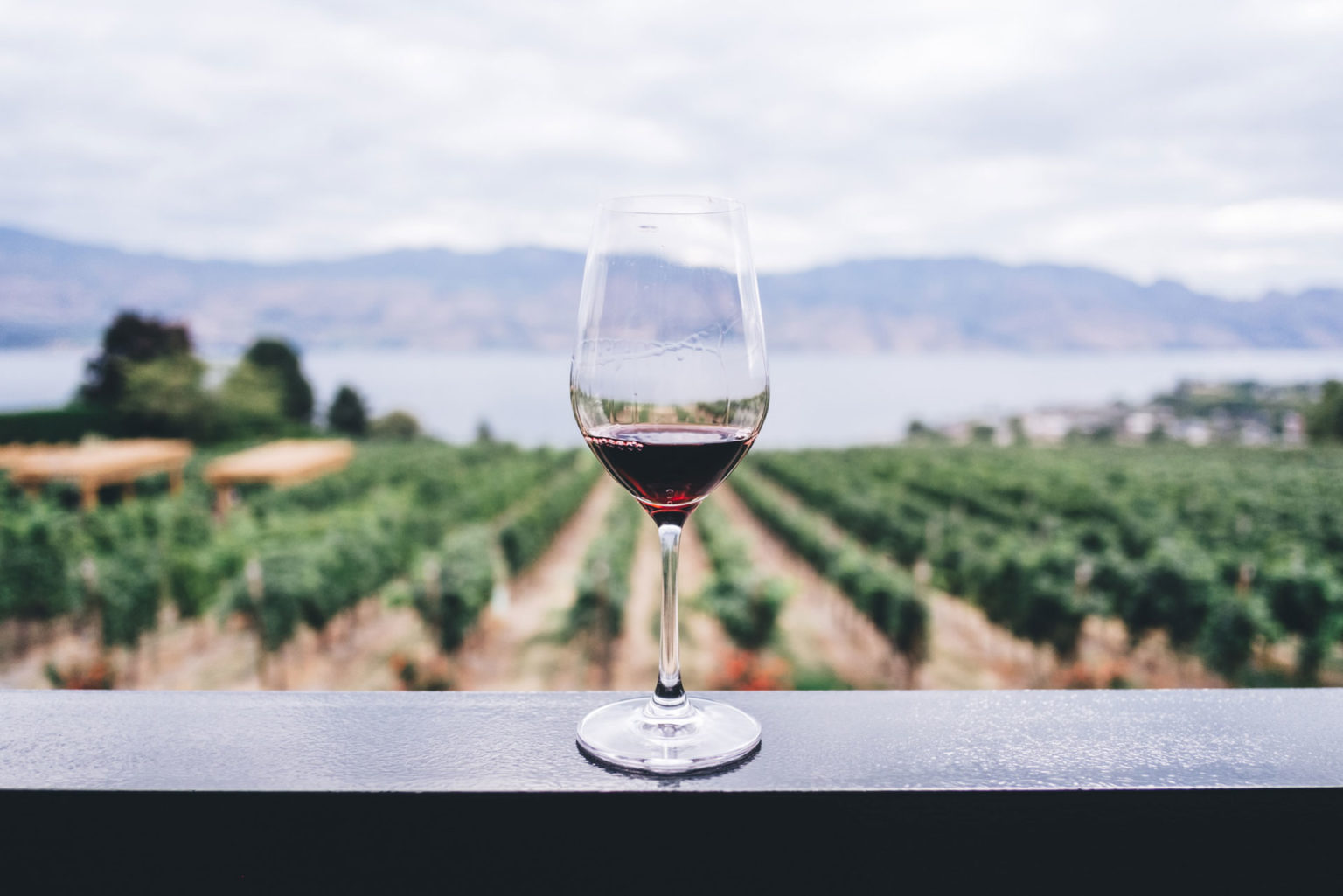The Best SaintJoseph Wines Food & Drink C&TH Guide
