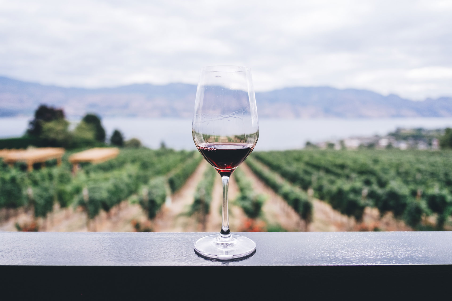 wine-unsplash