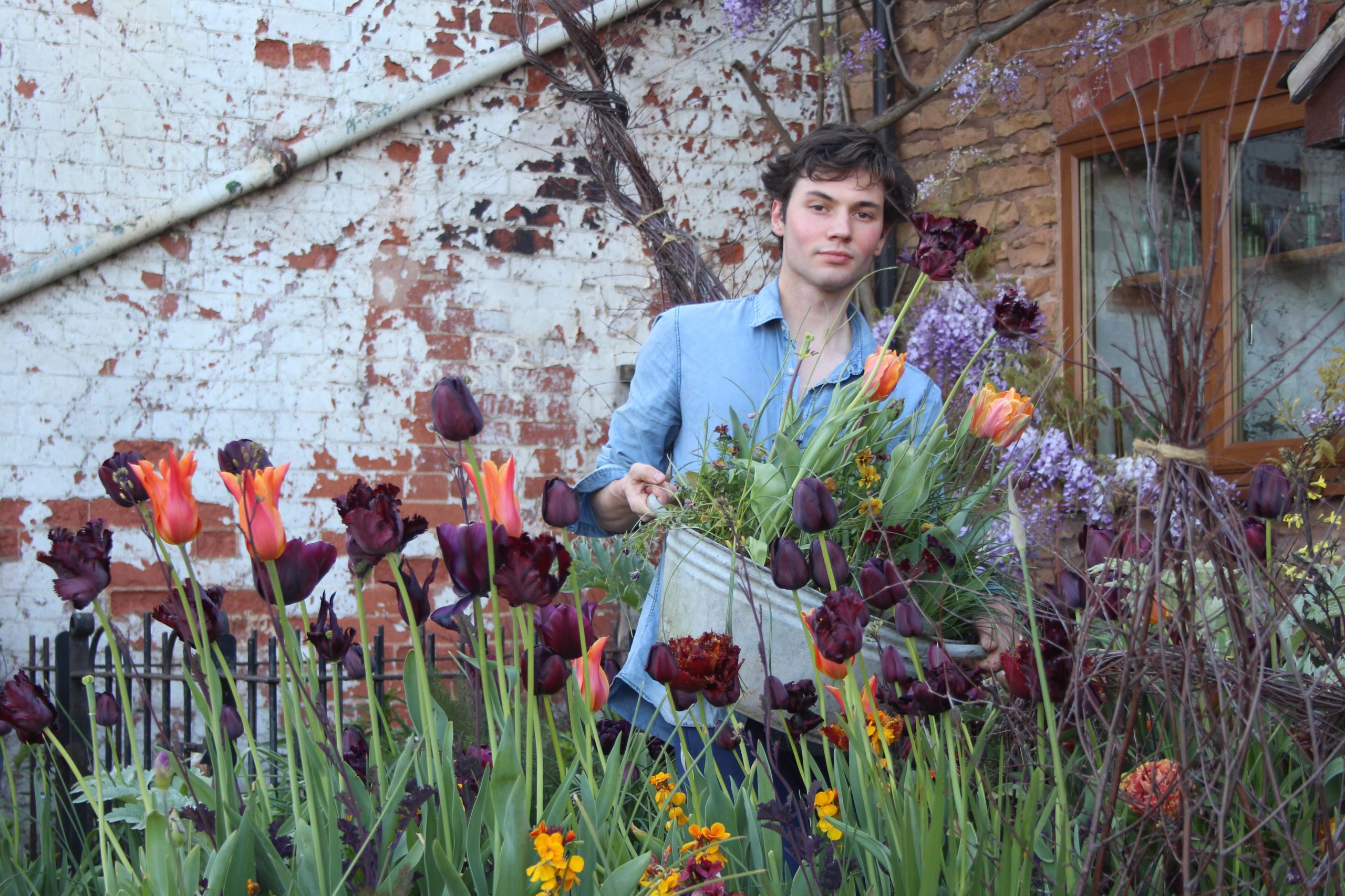 Gardening Guide: Courtyard Planting With Arthur Parkinson