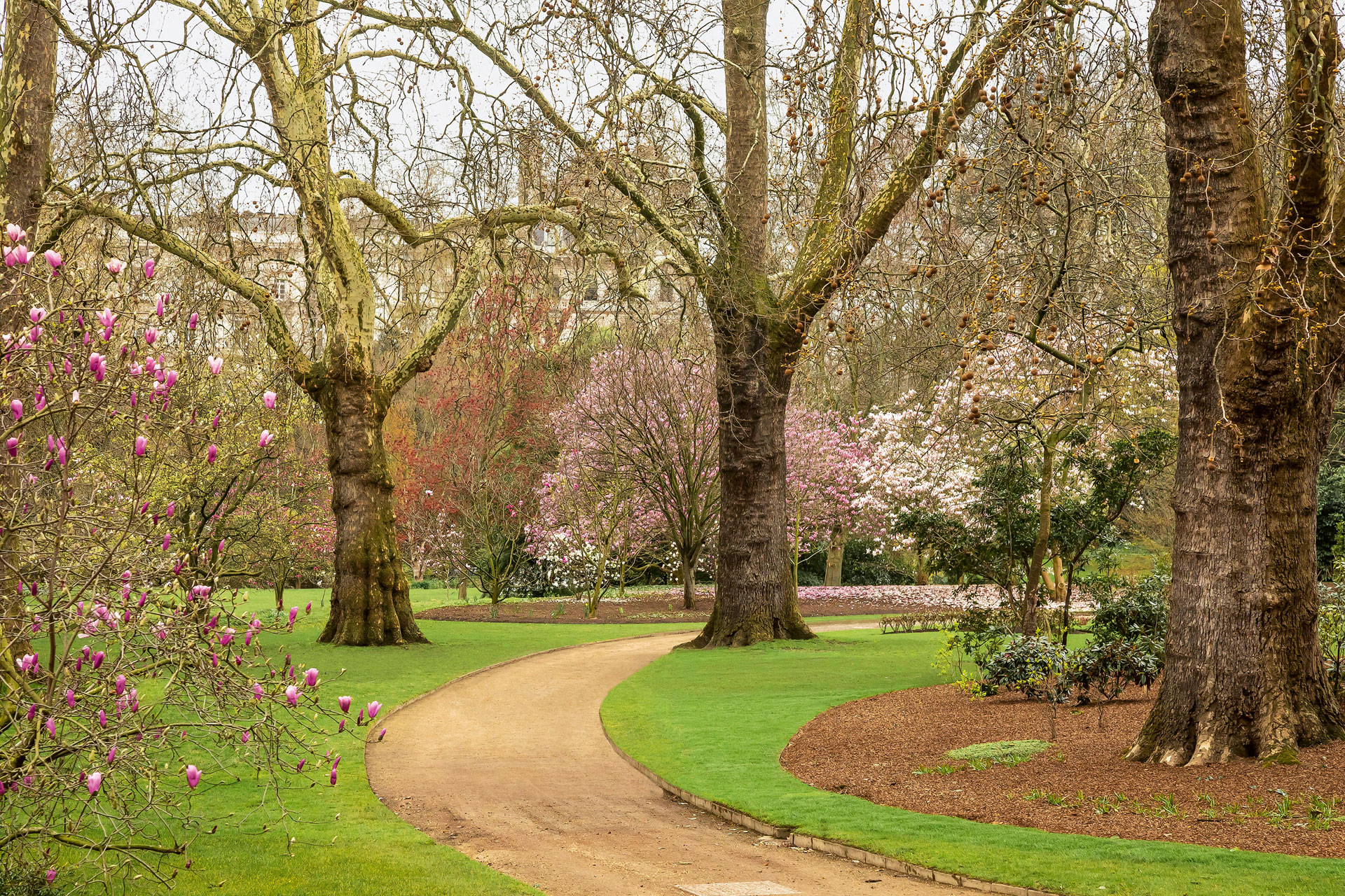 Buckingham Palace Gardens