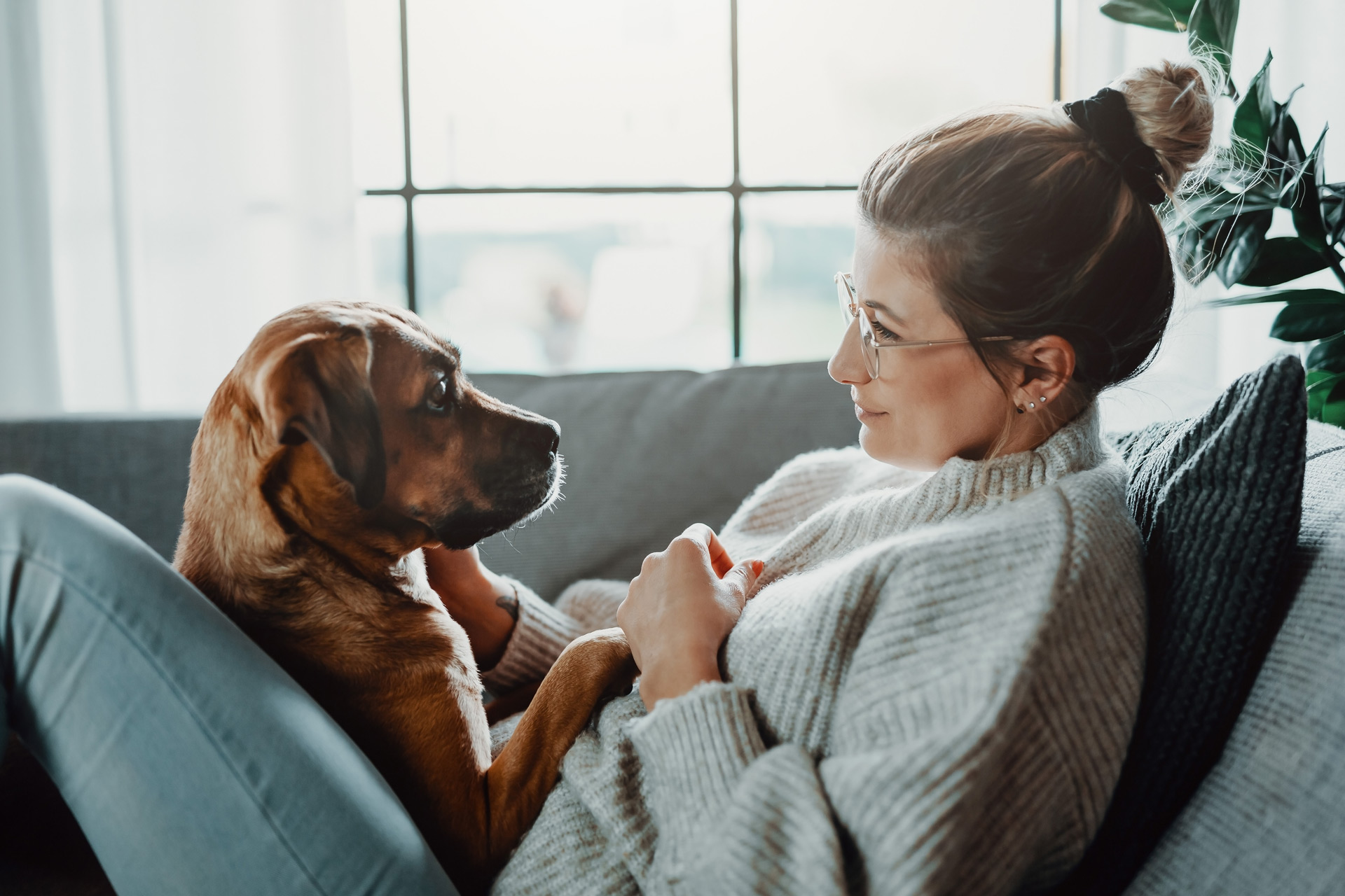 How To Avoid Pet Separation Anxiety Post-Lockdown