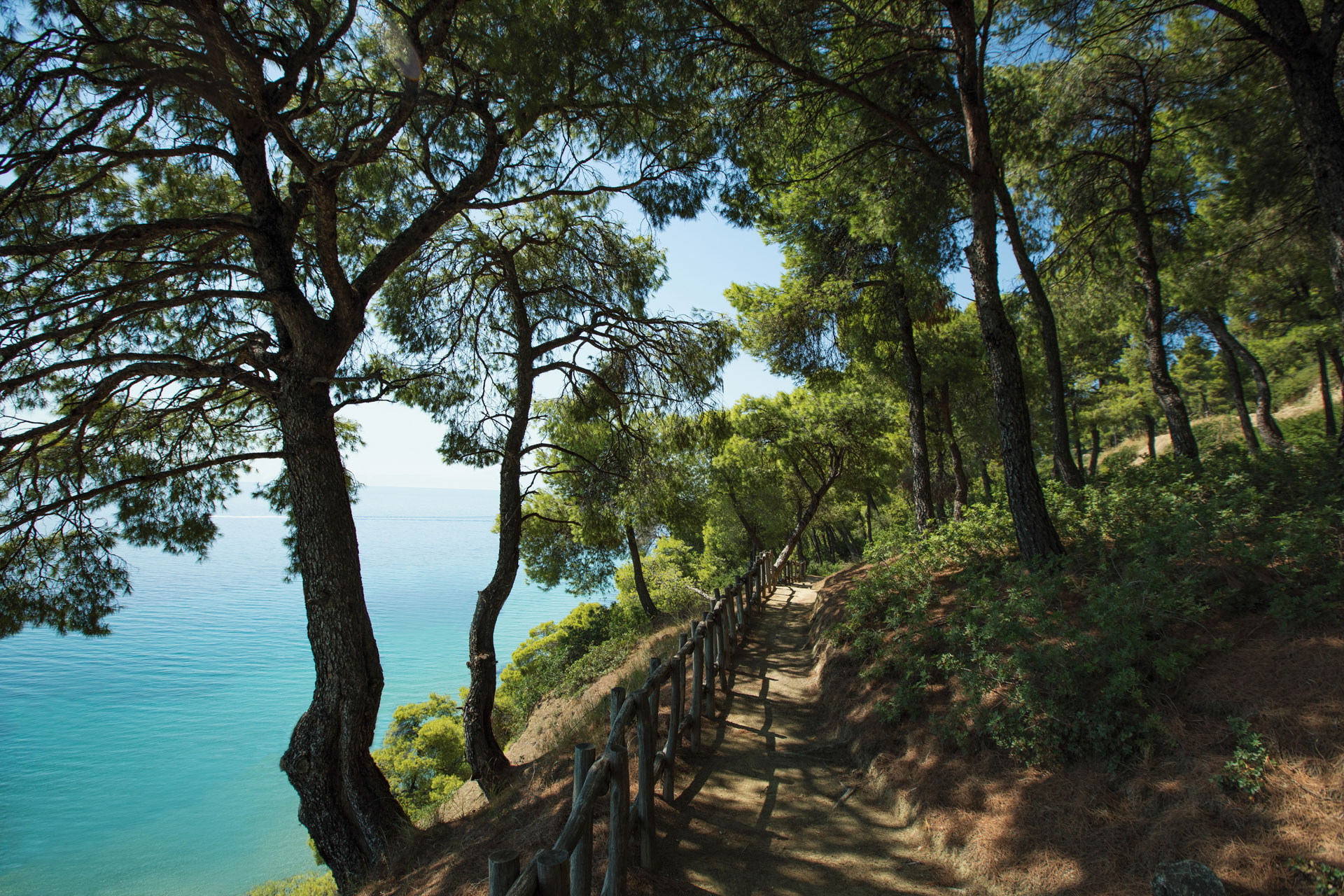 Green Heroes: Eleni Andreadis, Sani Resort’s Sustainability Specialist