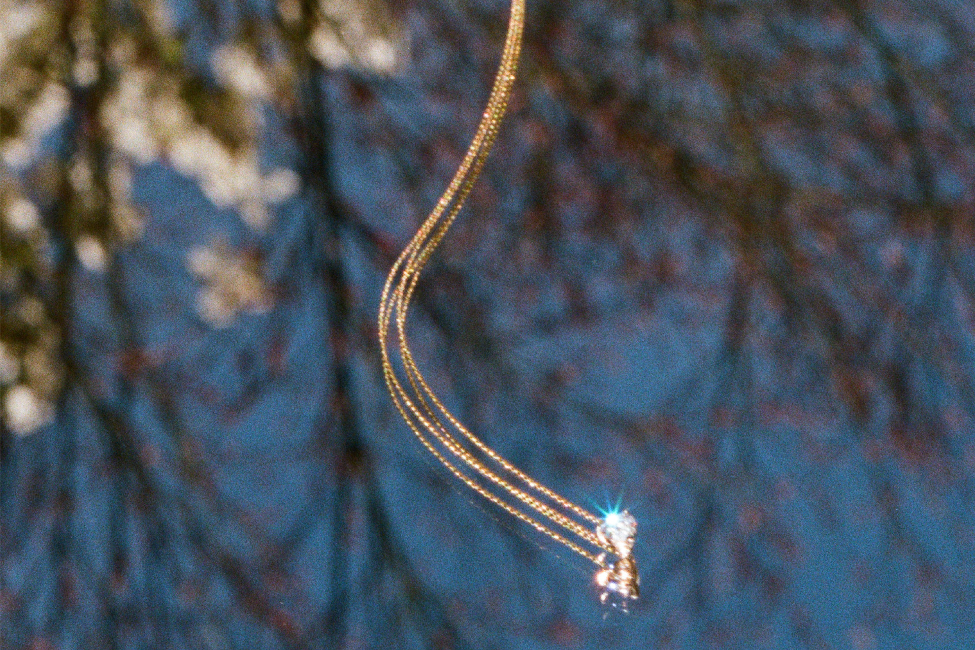 Gold necklace on mirror with reflection of tree branches