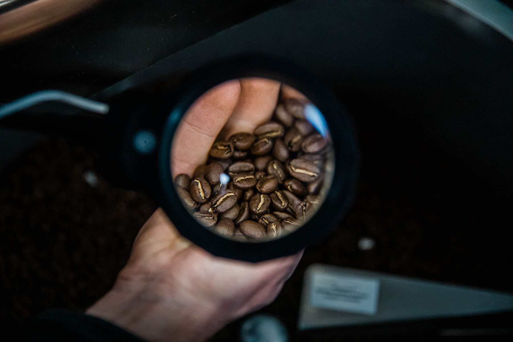 sustainable coffee