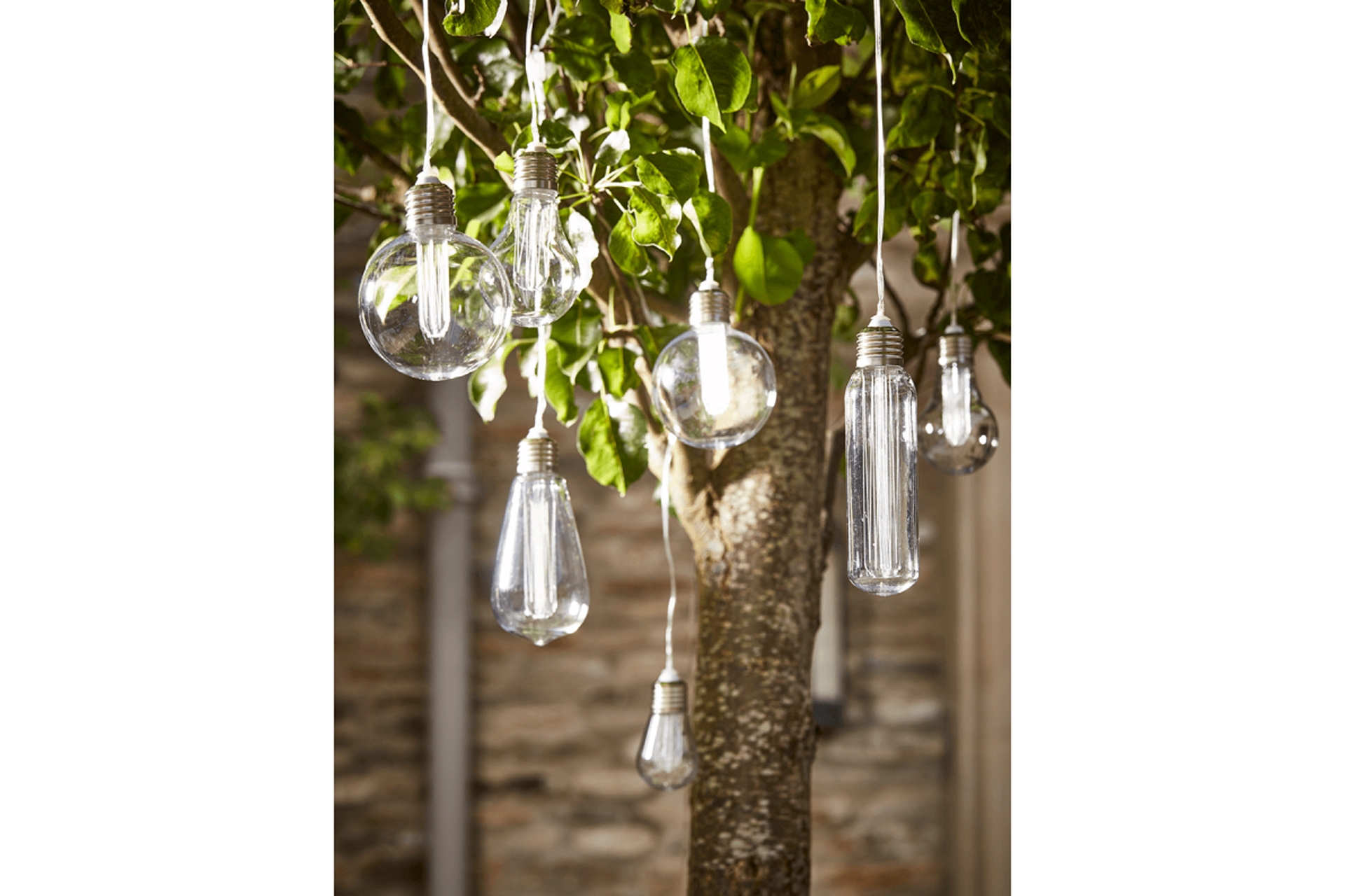 Cox & Cox festoon lights