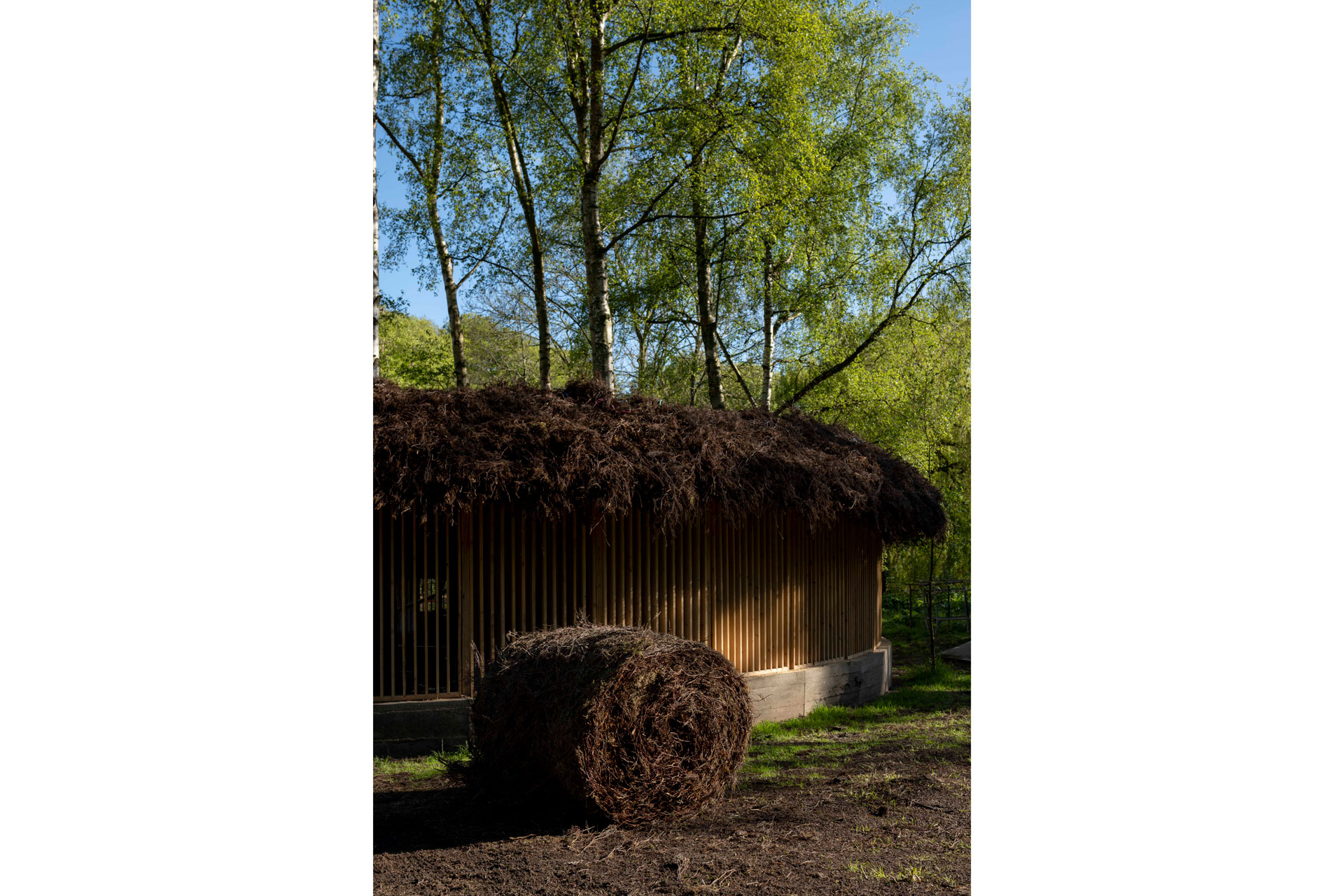 UK Art Exhibitions 2021 - Silence – Alone in a World of Wounds