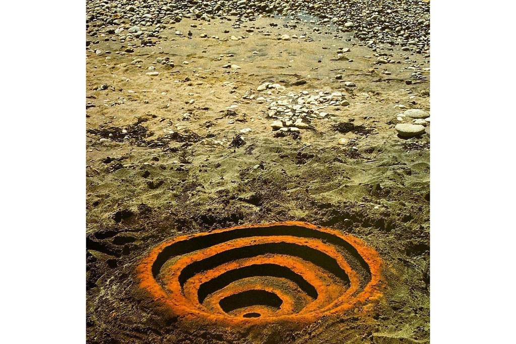 Andy Goldsworthy