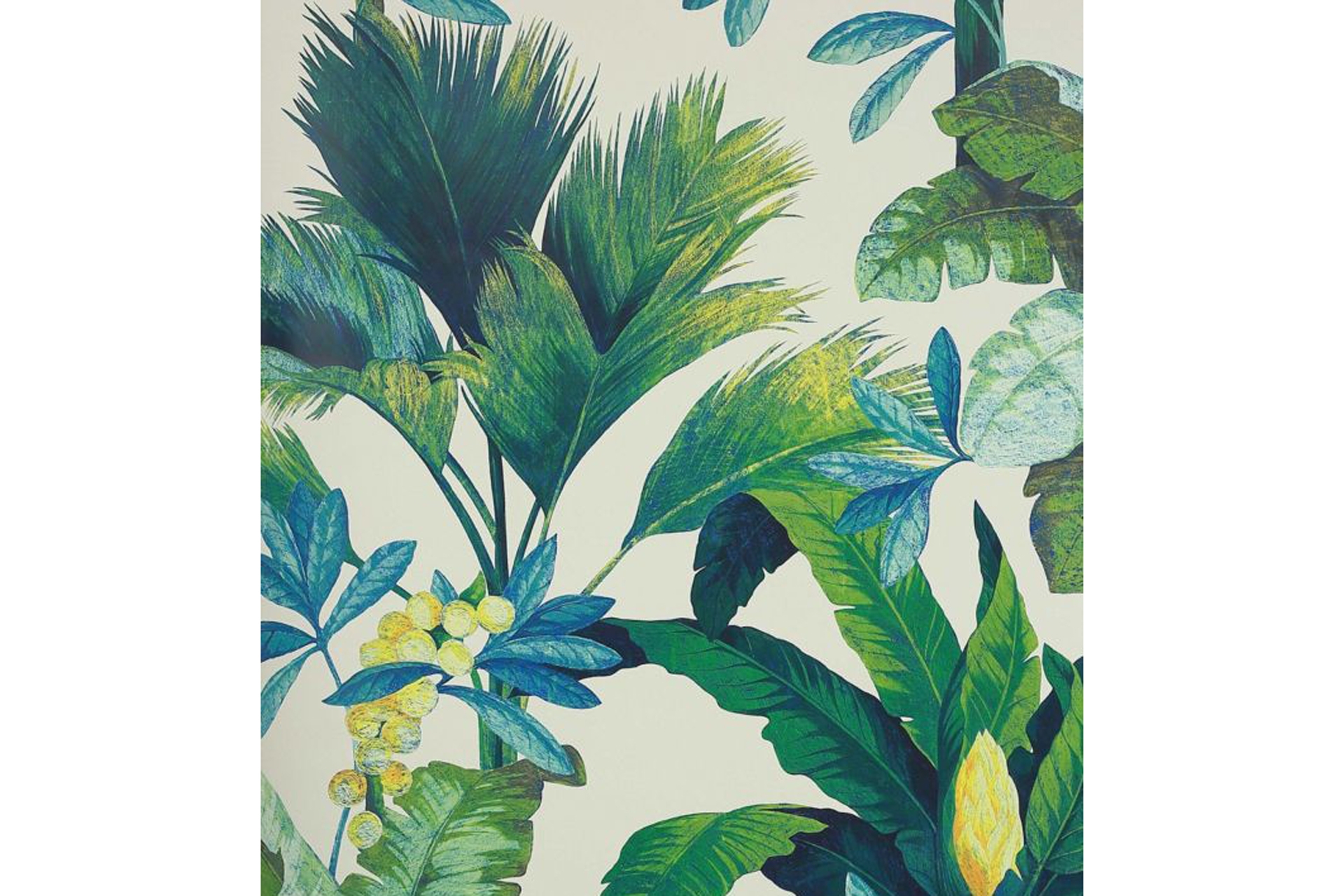 Manuel Canovas