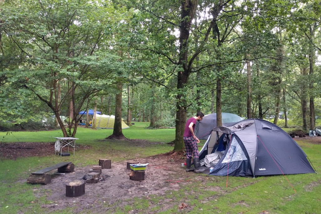 fox wood camping
