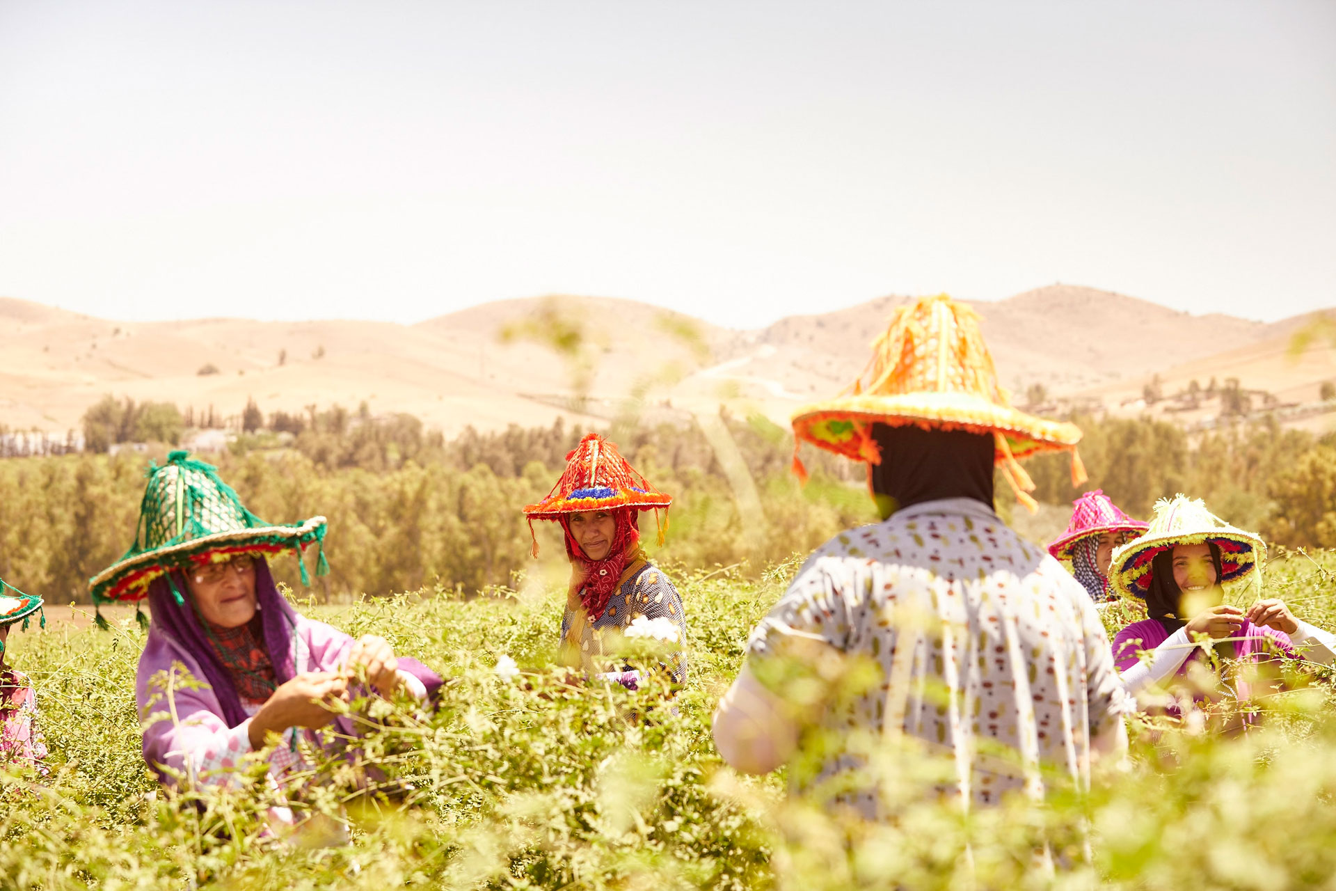 Green Heroes: Amy Christiansen, Founder of Sana Jardin