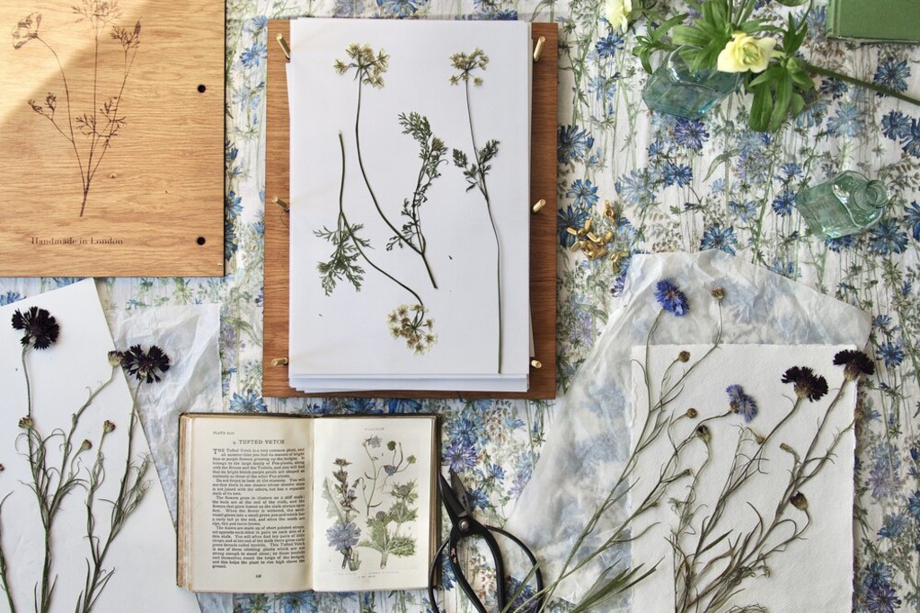 UK Art Exhibitions 2021 - The Nature of Thyme - pressed flowers