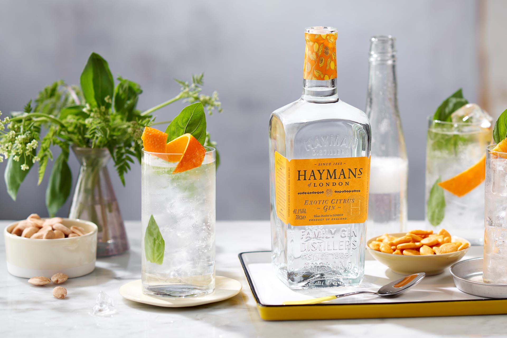 Hayman's Exotic Citrus G&T