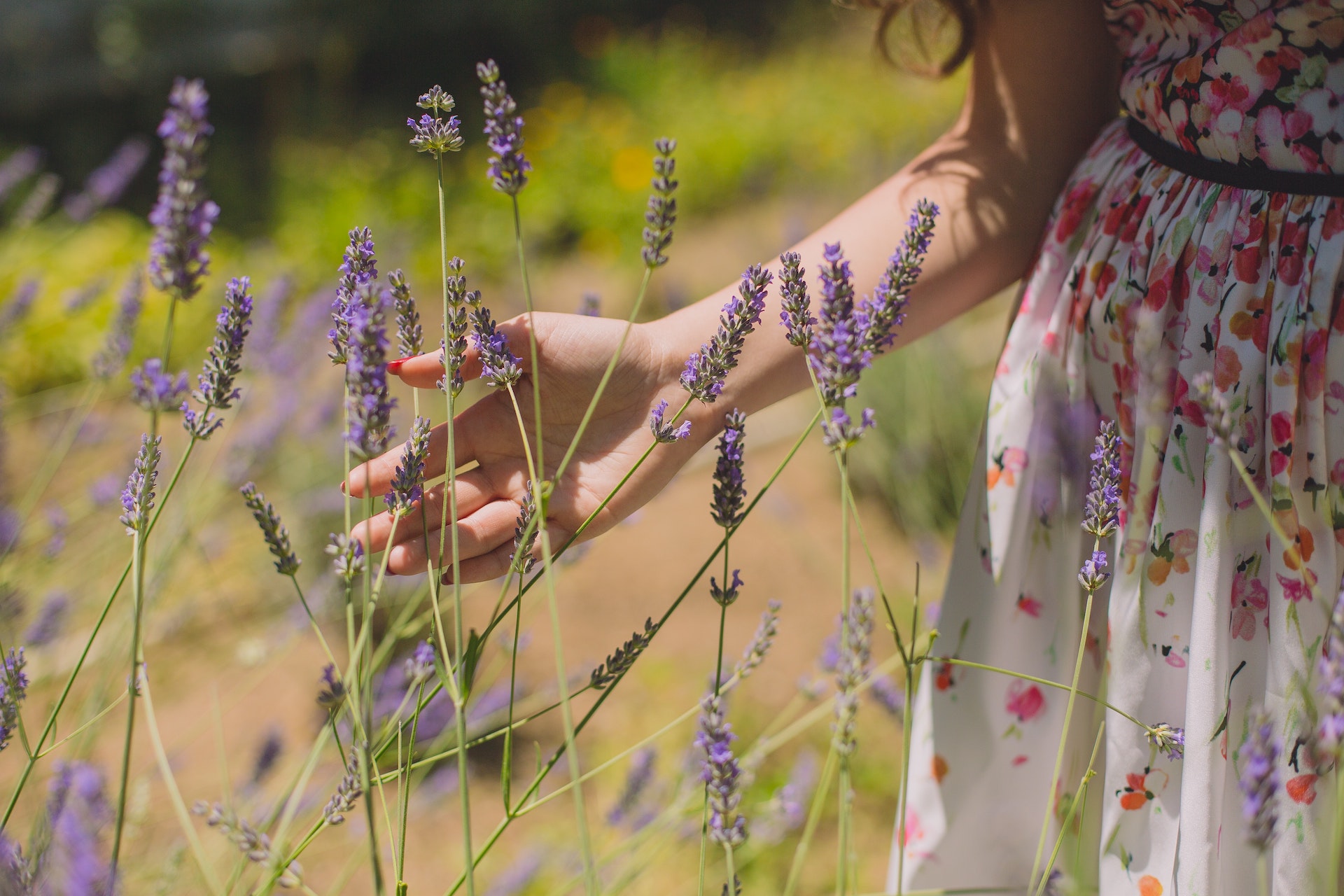 How To Make The Most Of Your Garden In The Summer Months