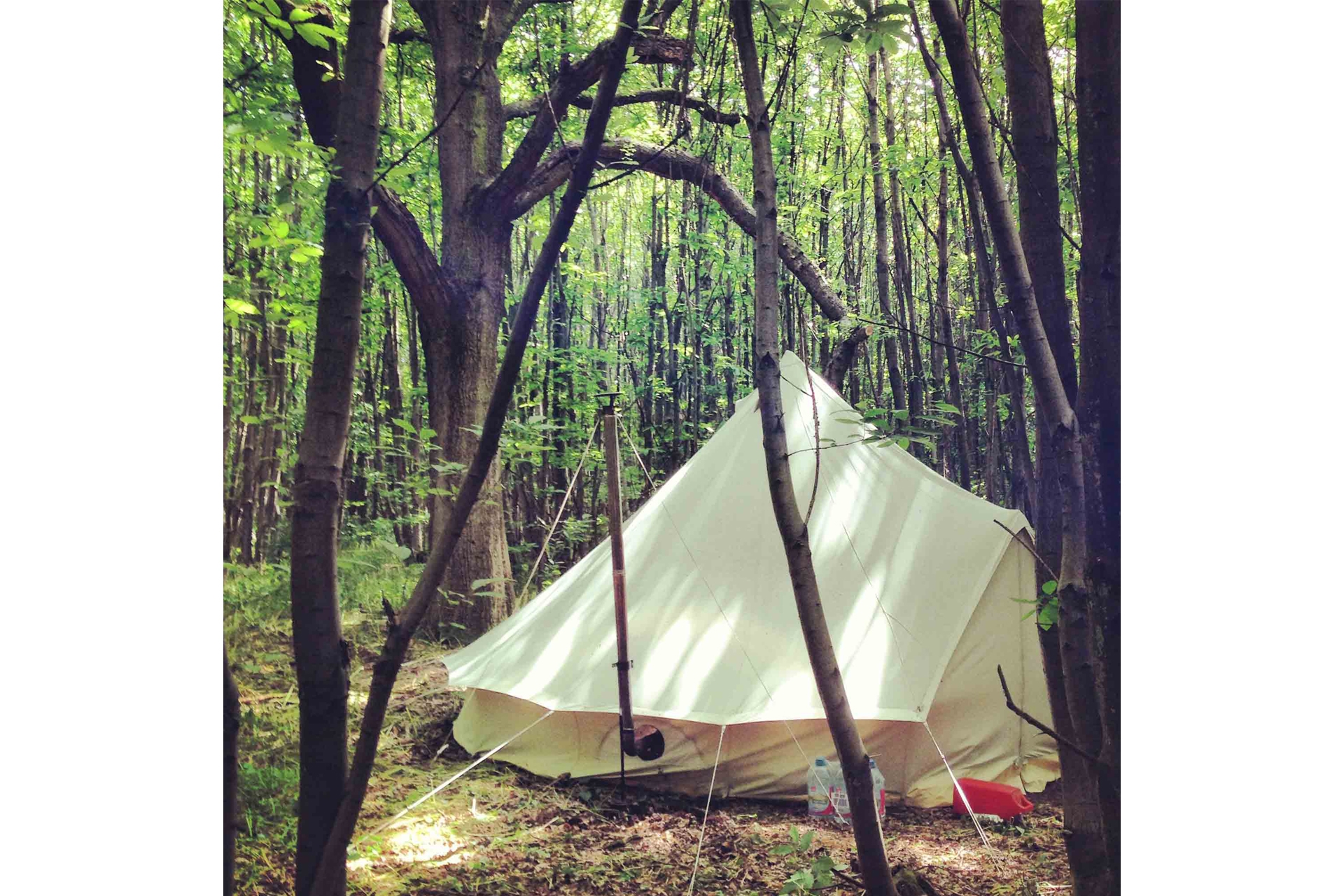 Badgells Wood Campsite