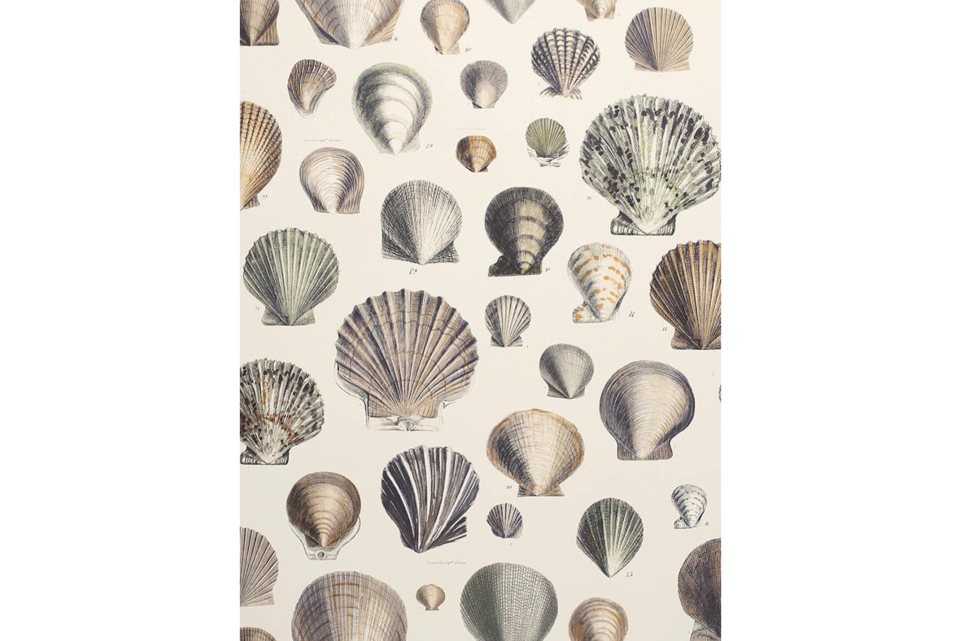 Designers Guild wallpaper