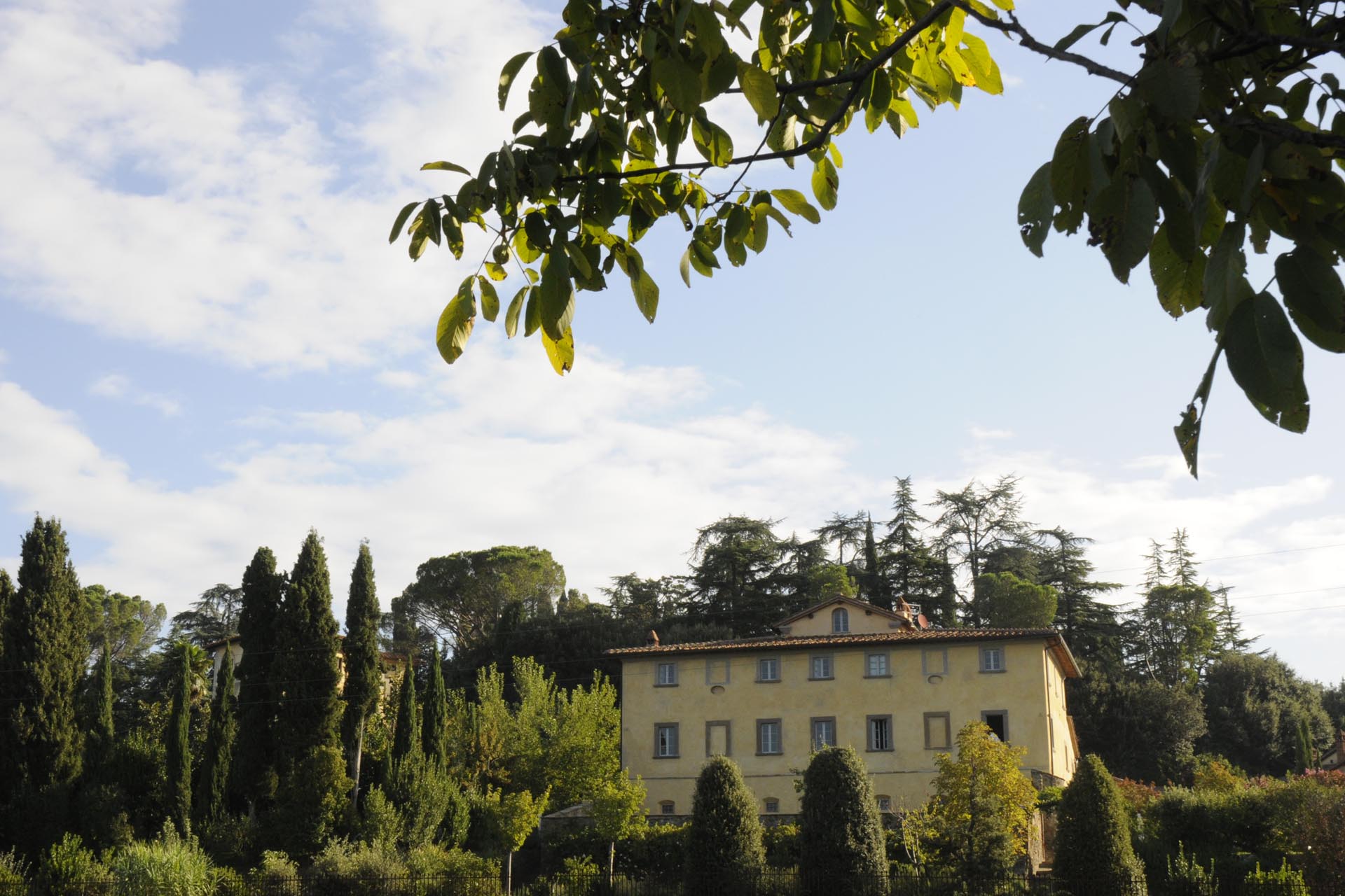 At Home With... Giovanni Raspini
