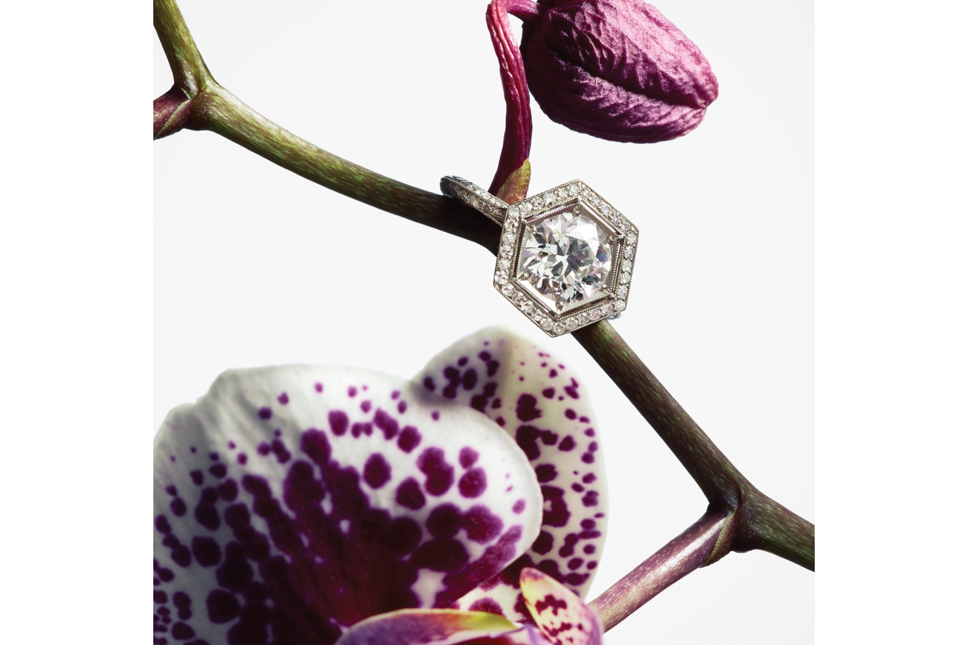 Hancocks ring