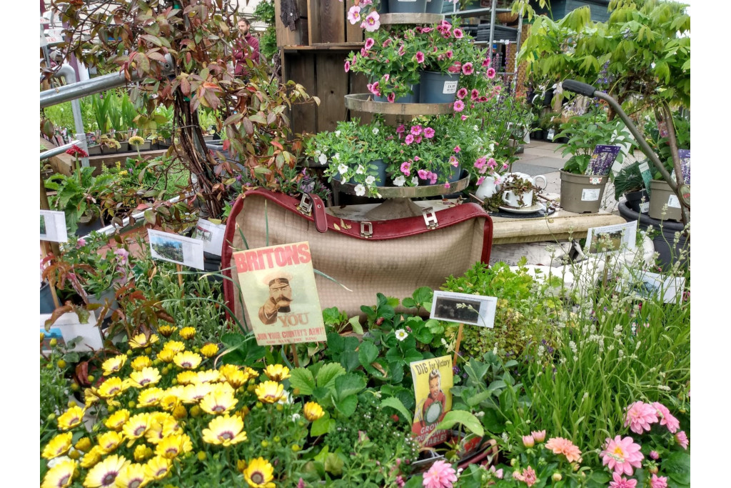 Squires Garden Centre
