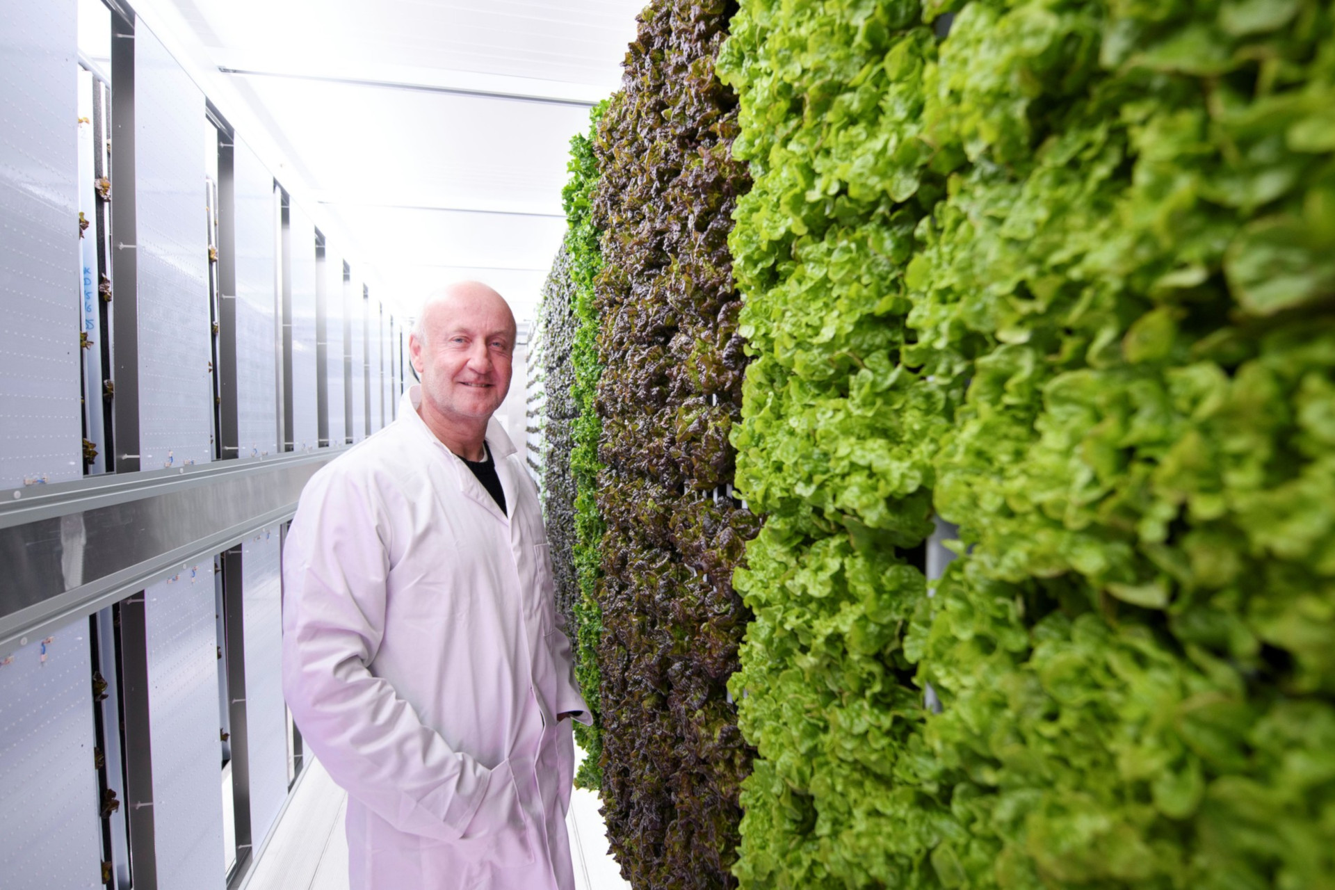 Green Heroes: Sebastien Sainsbury of Crate to Plate