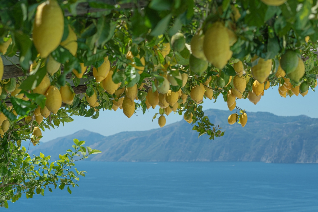 Amalfi